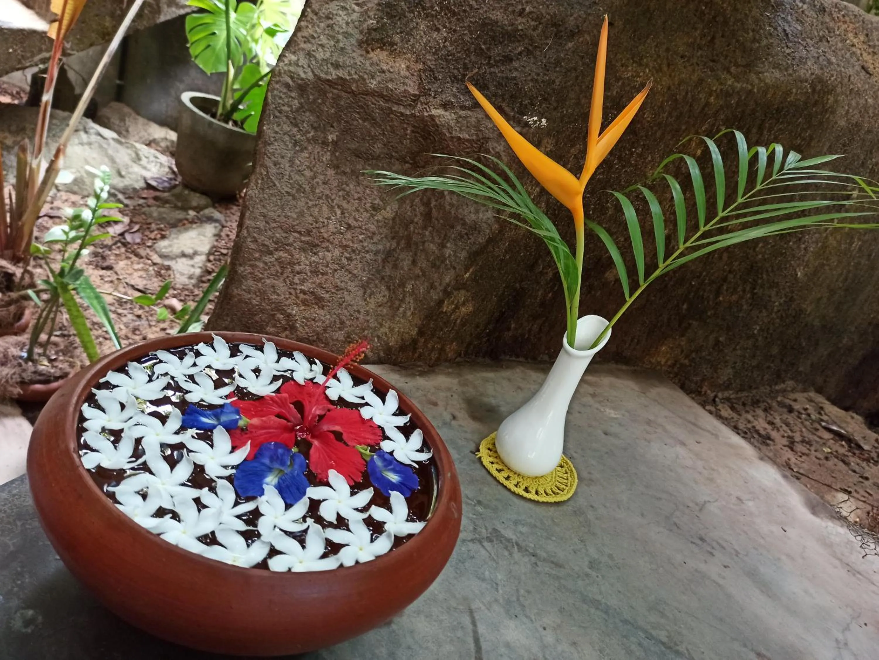 Communal lounge/ TV room in Butterfly Jewel