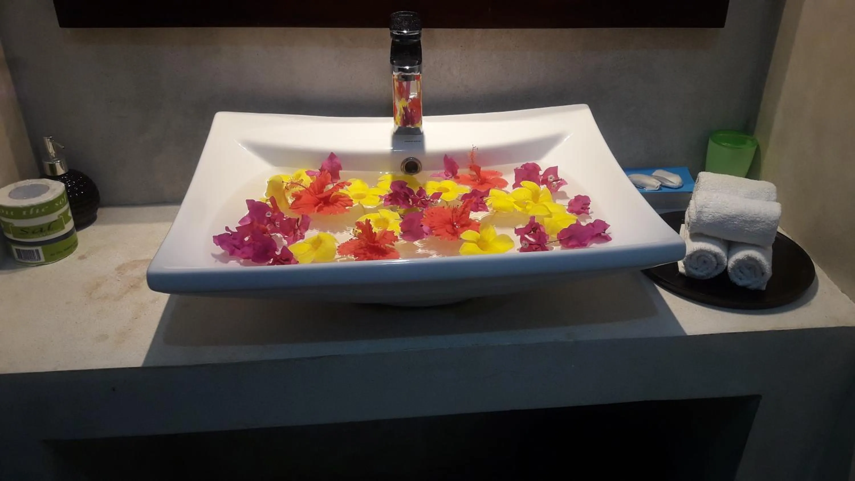 Bathroom in Butterfly Jewel