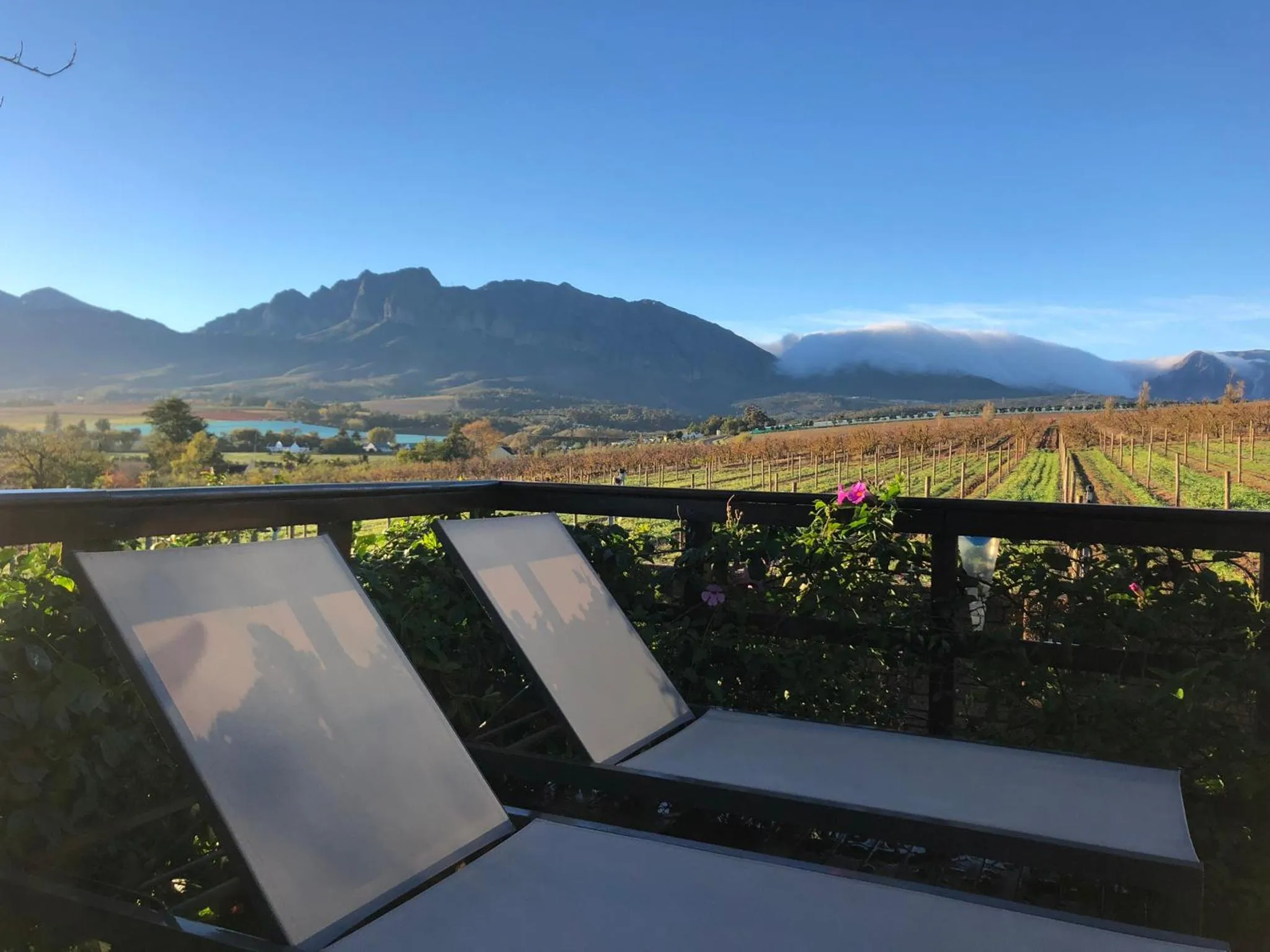 Balcony/Terrace in Wellington Country House