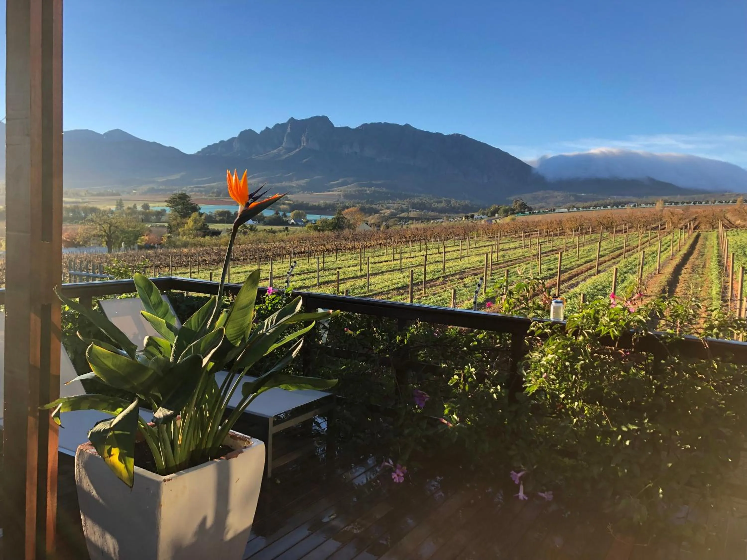 Natural landscape in Wellington Country House