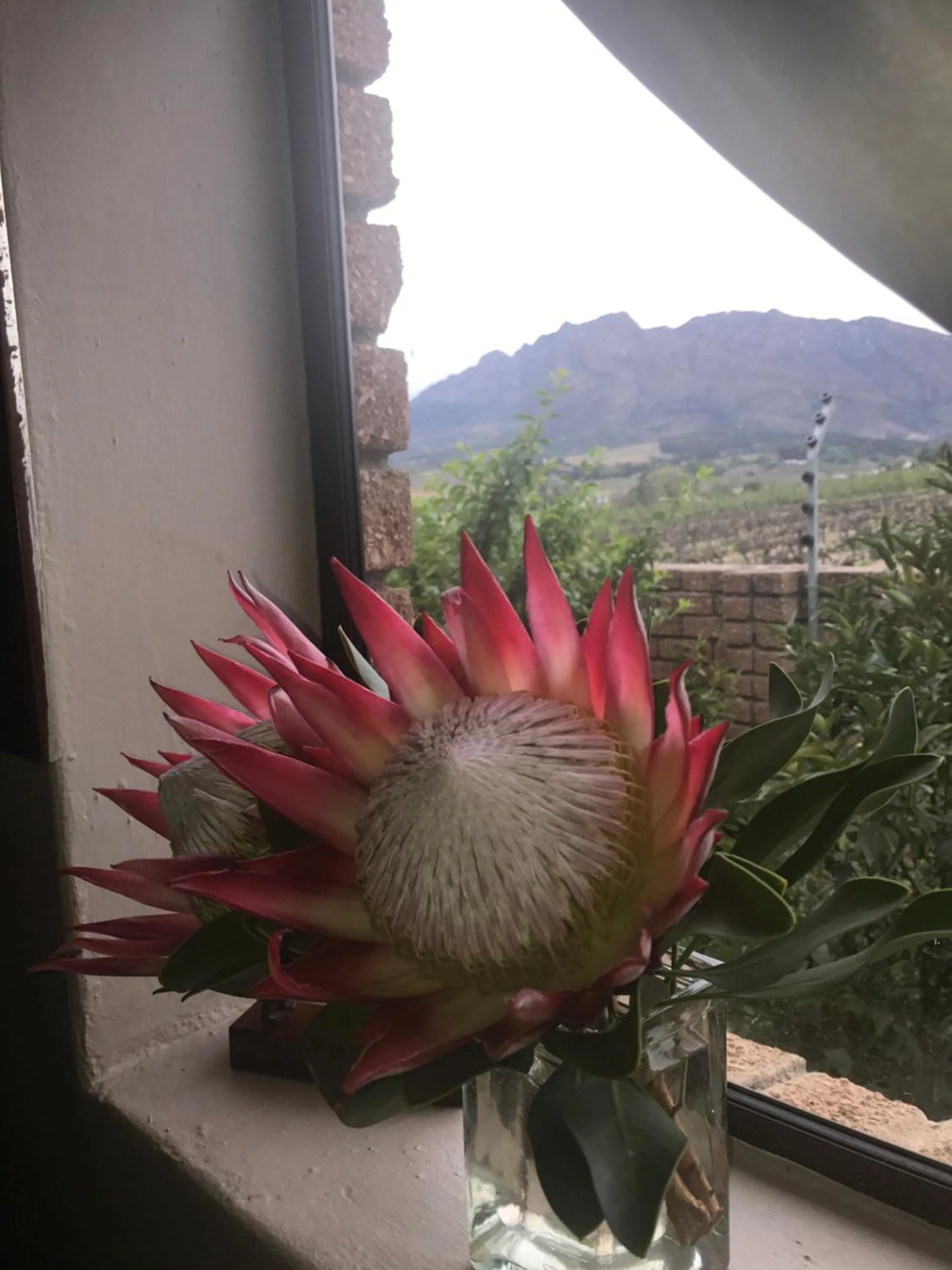 Mountain view in Wellington Country House