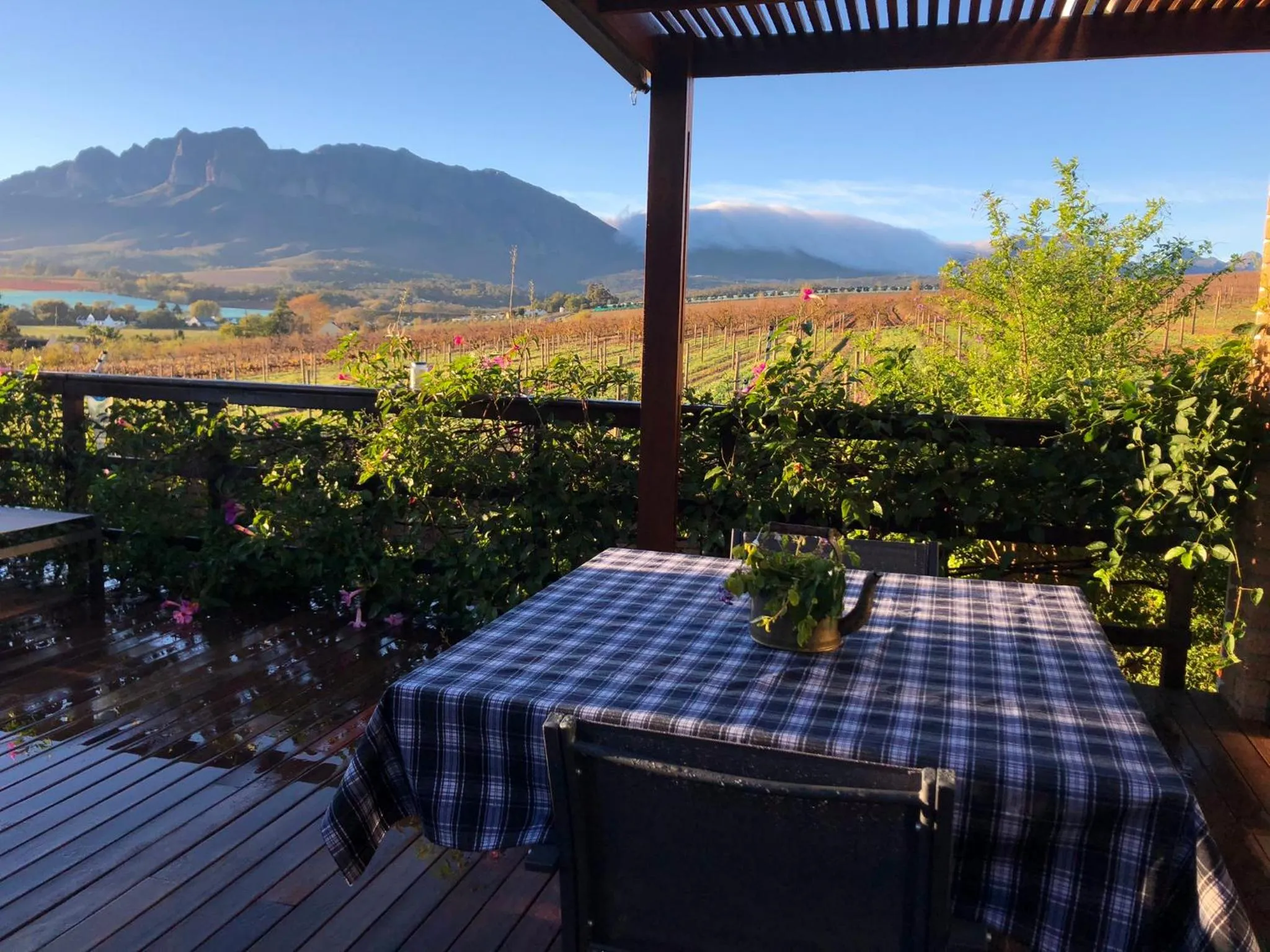 Balcony/Terrace in Wellington Country House