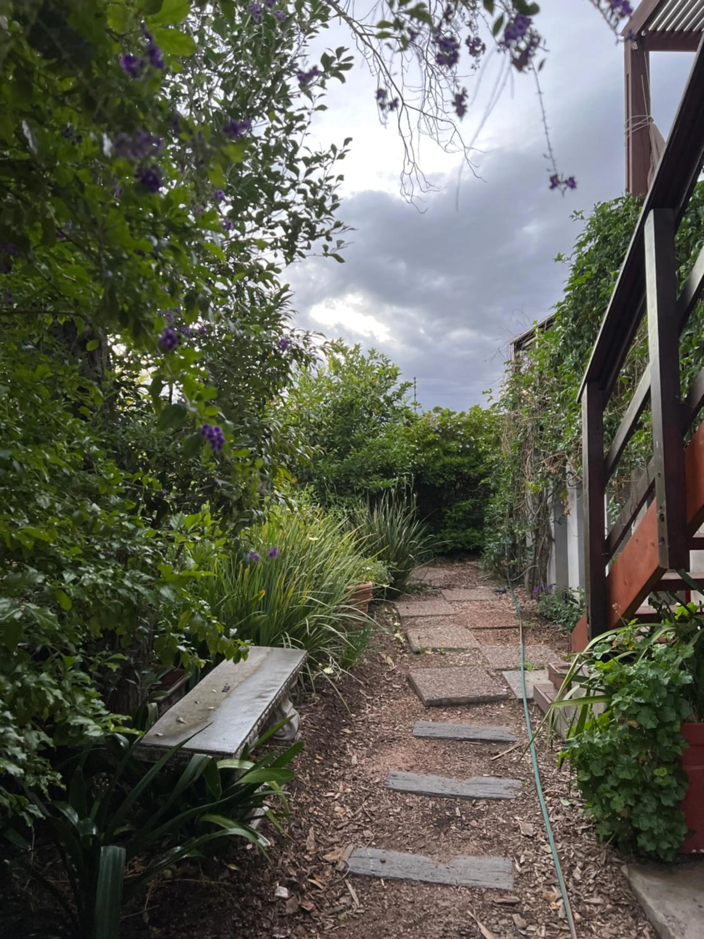 Garden in Wellington Country House