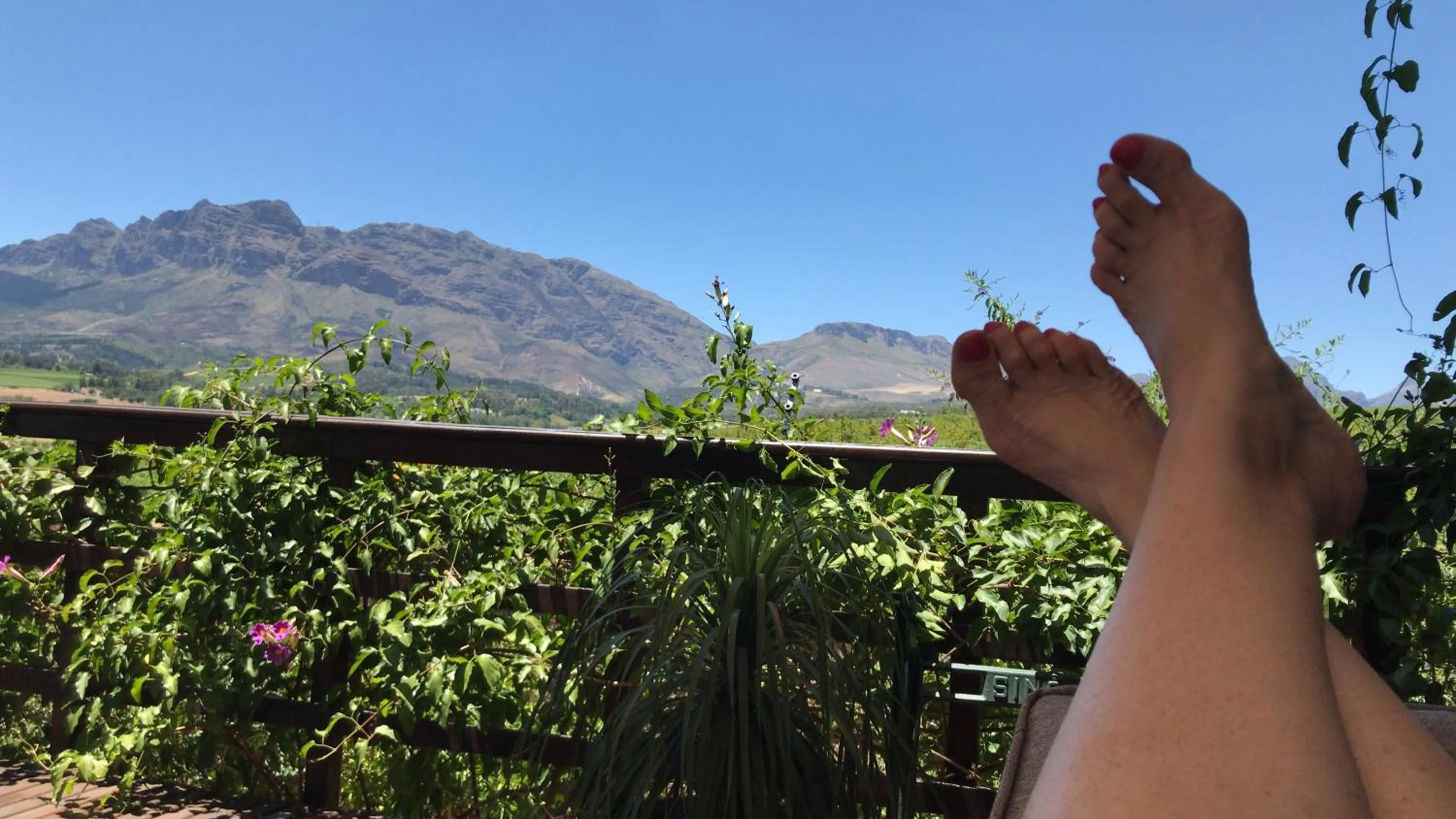 Natural landscape in Wellington Country House