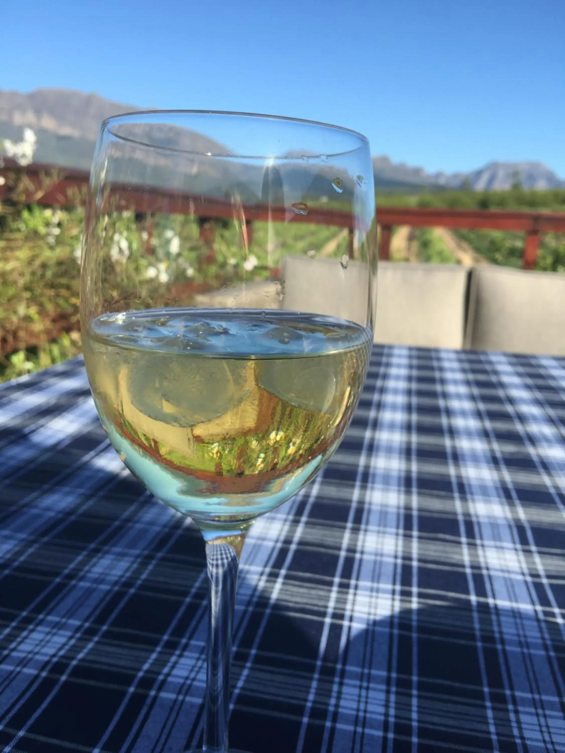 Natural landscape in Wellington Country House