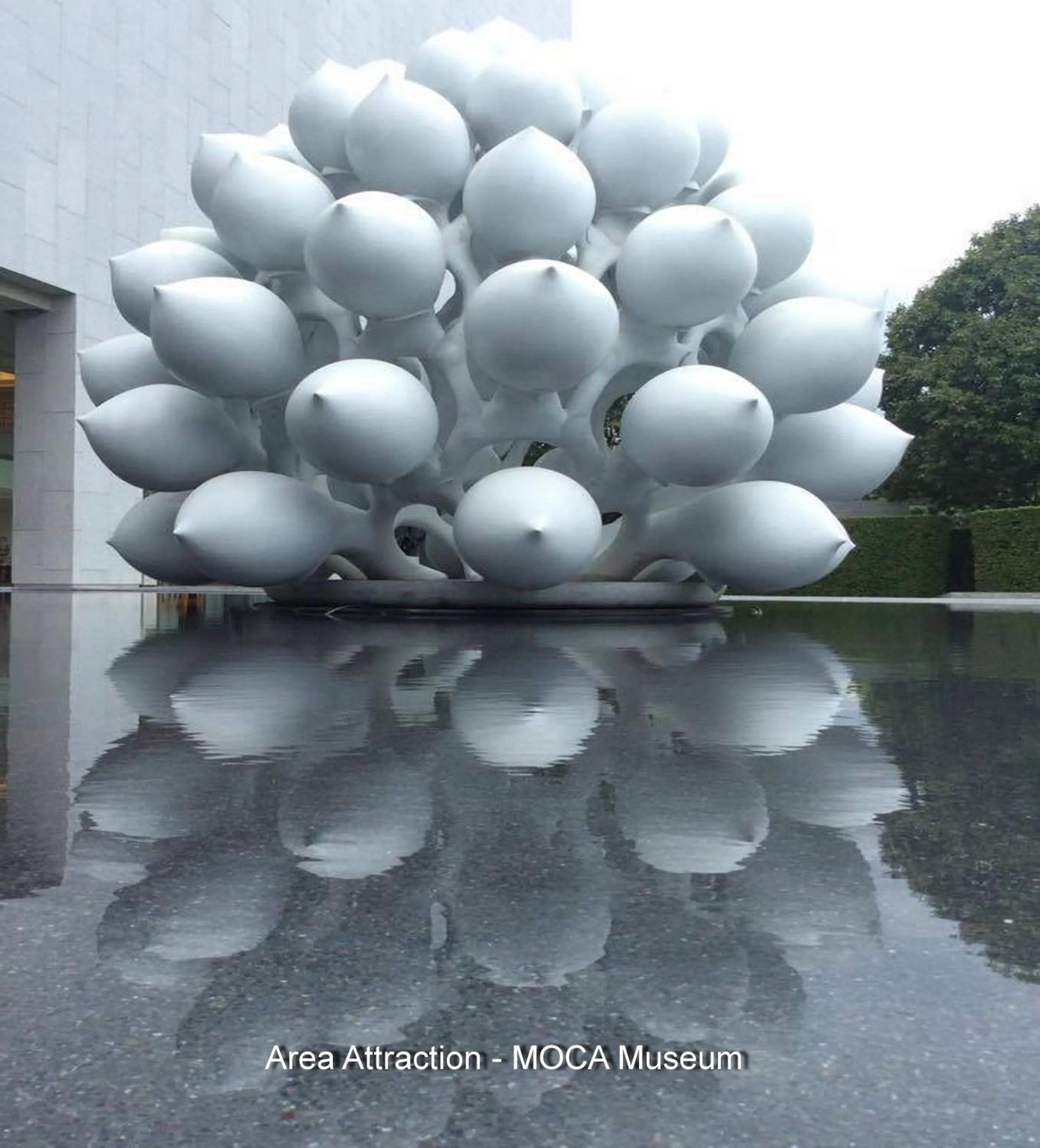 Nearby landmark in Naturbliss Resort Village