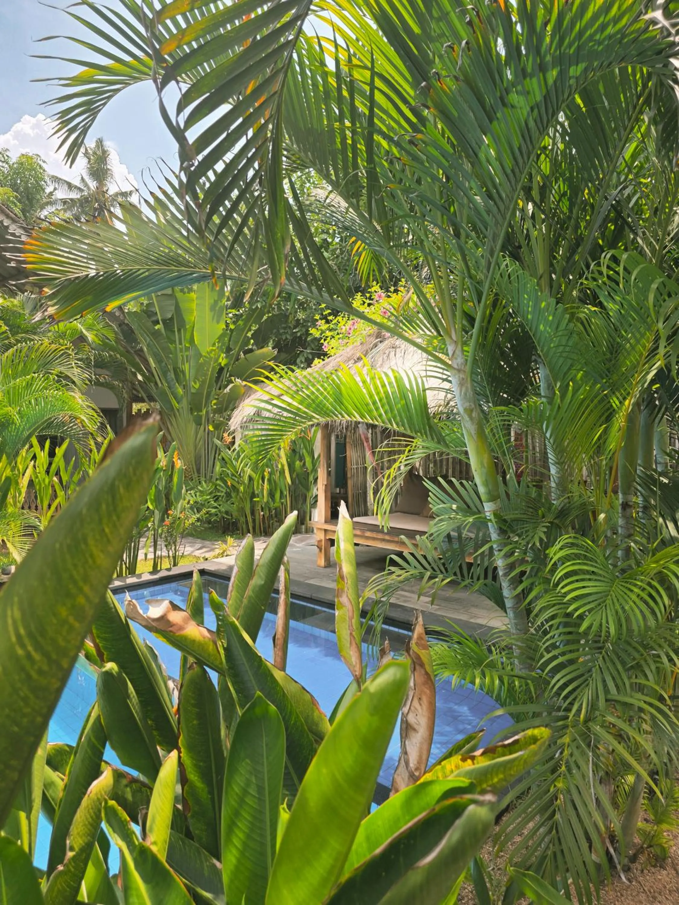Garden in Gili Matiki
