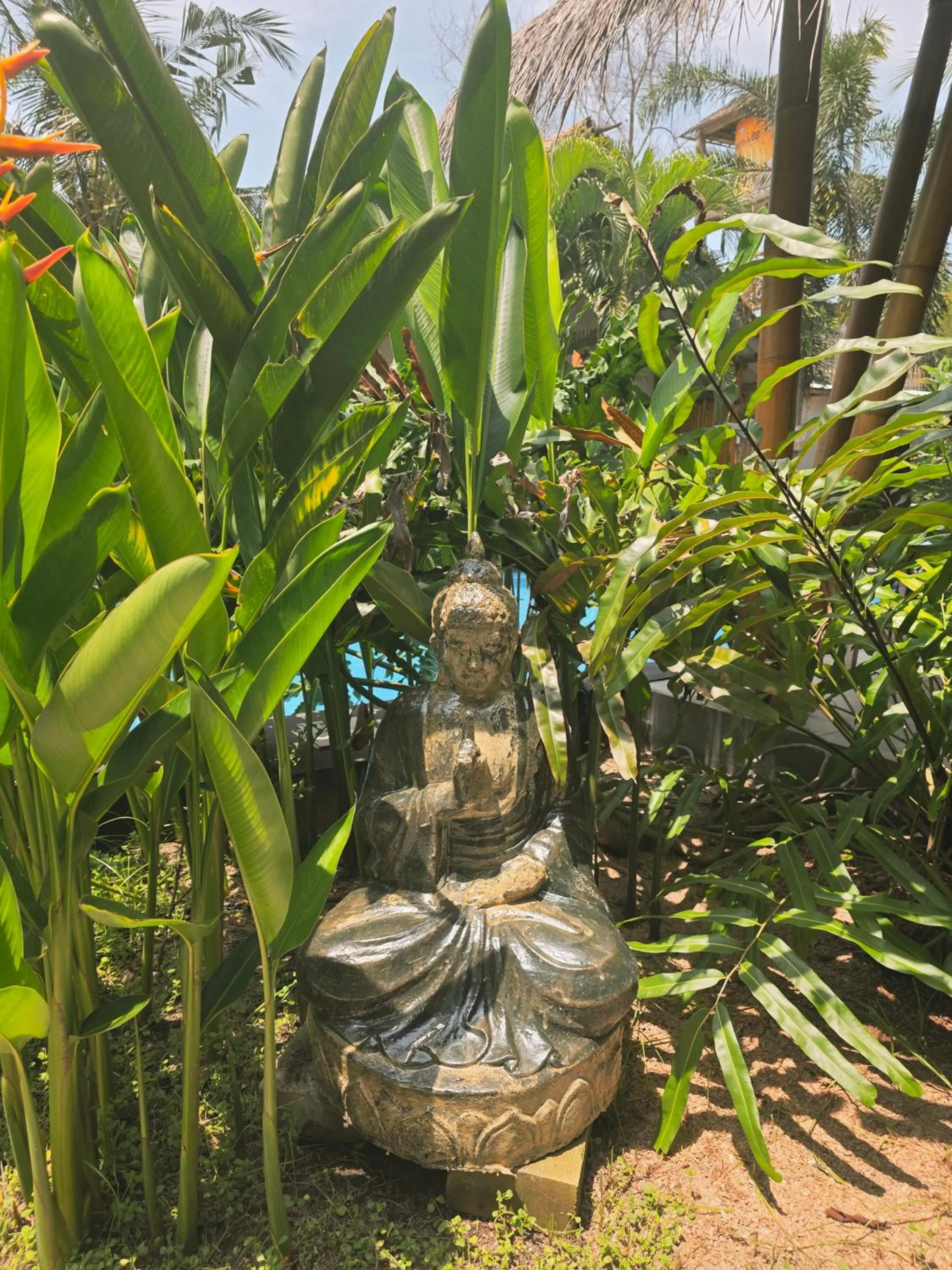 Garden in Gili Matiki