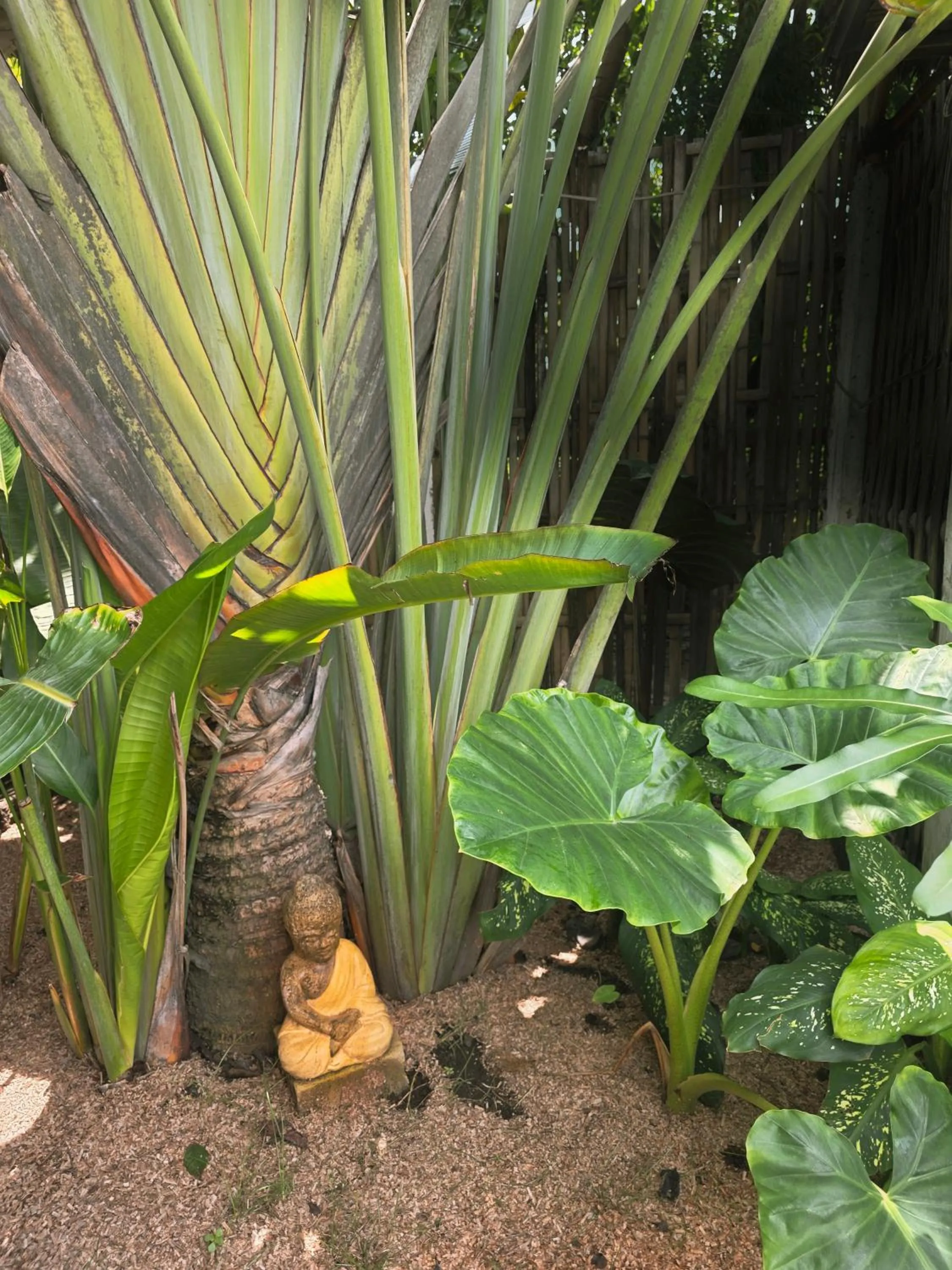 Natural landscape in Gili Matiki