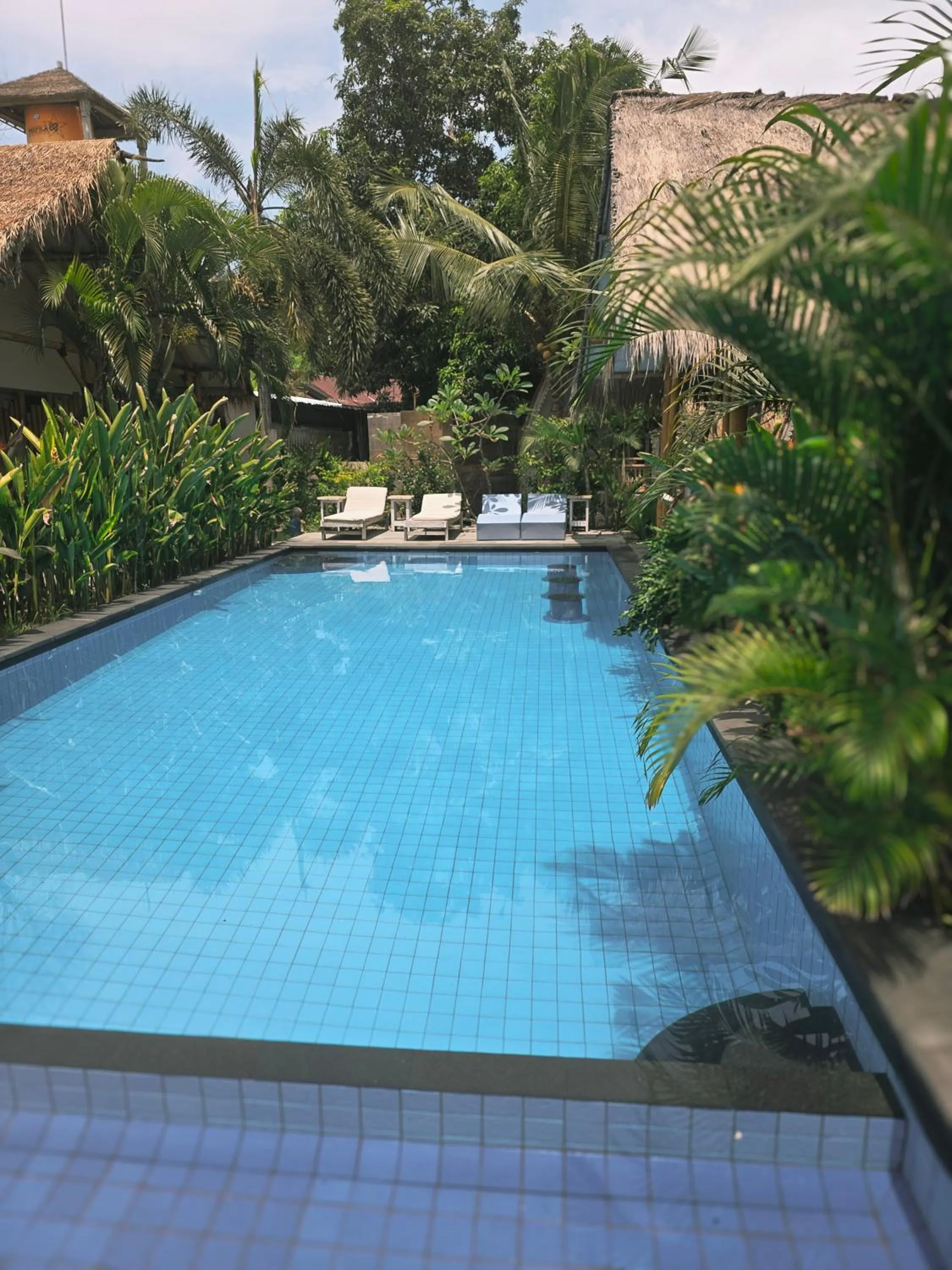 Garden in Gili Matiki