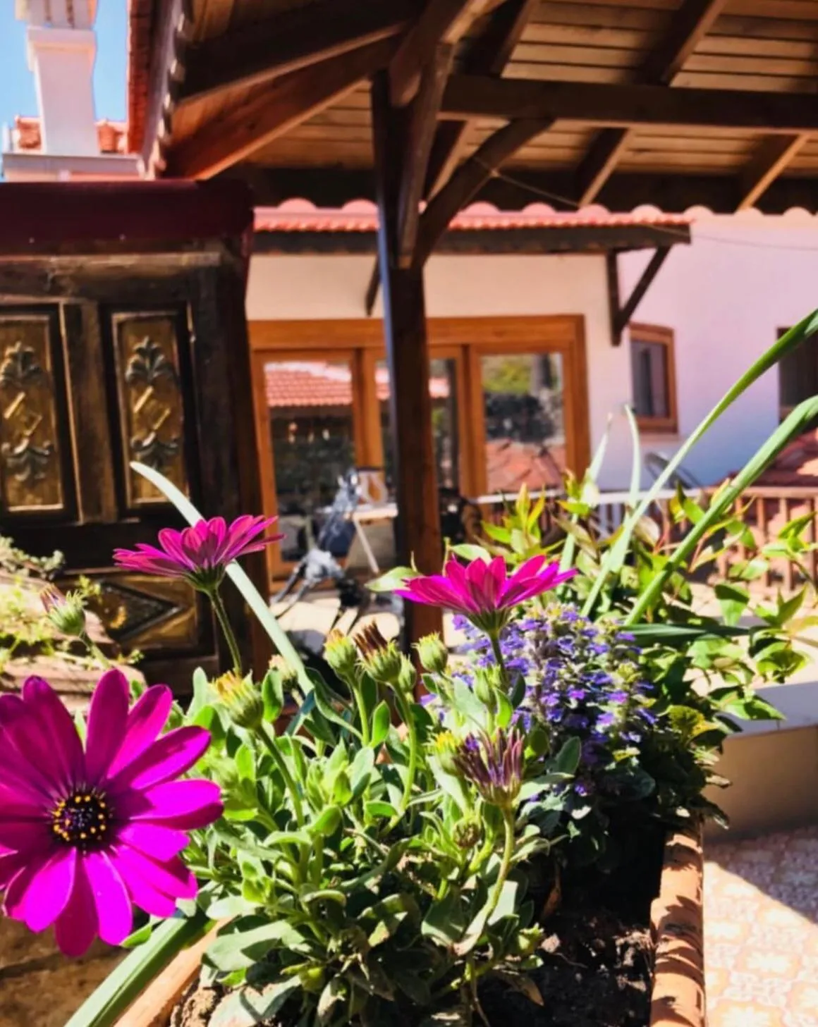 Facade/entrance in Ibri Hotel