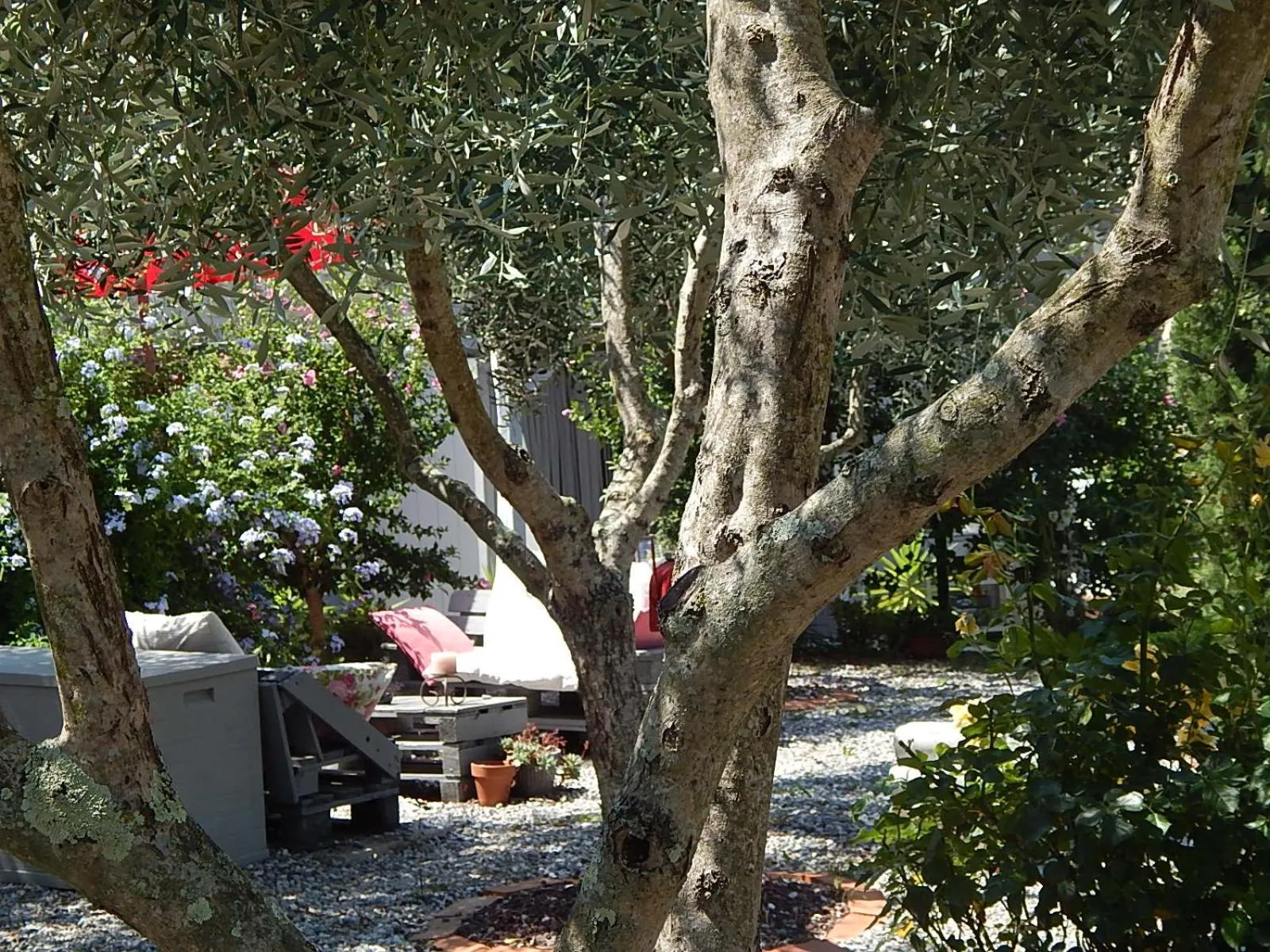 Garden in B&B Piè del Castello