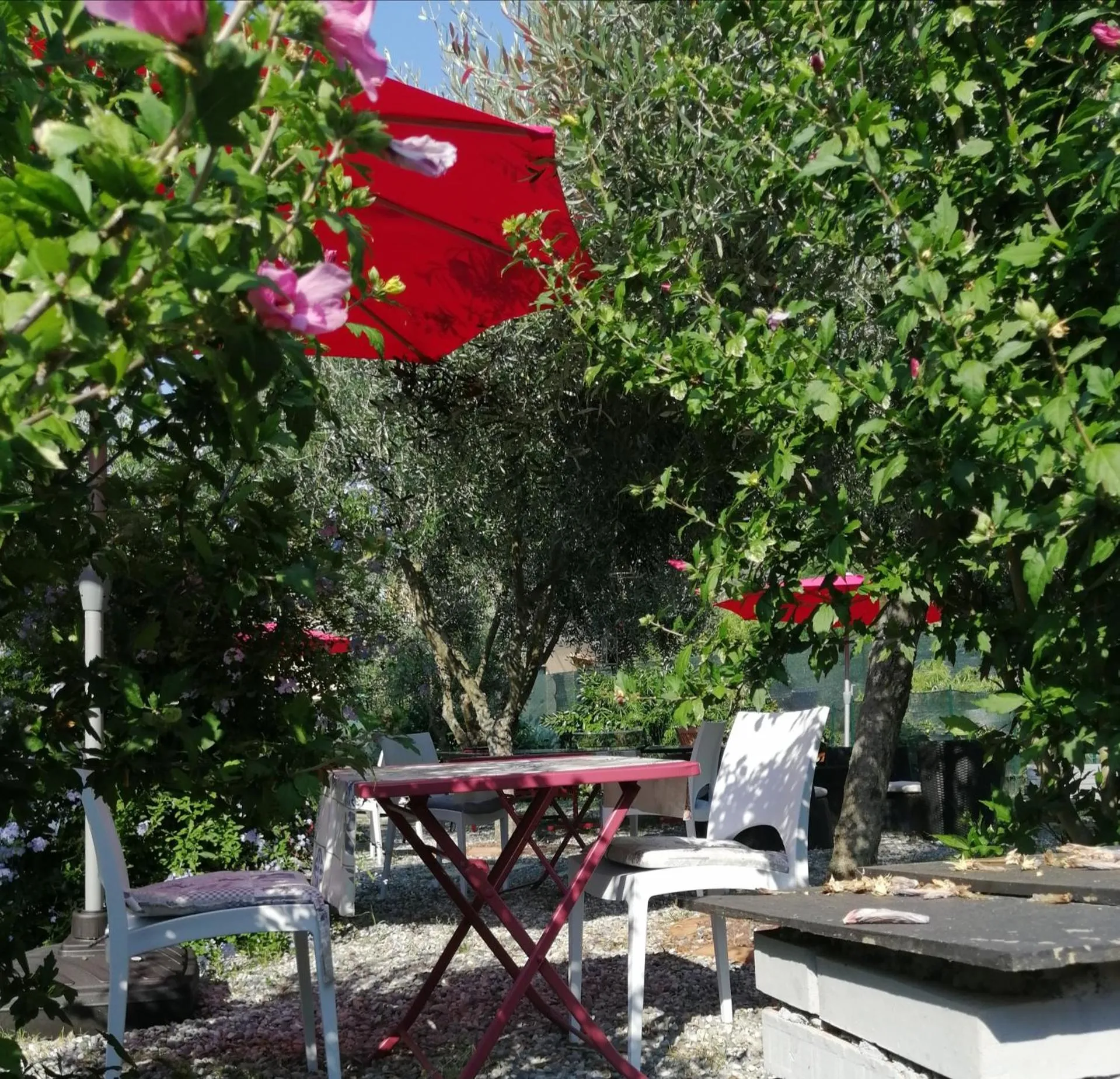 Garden in B&B Piè del Castello