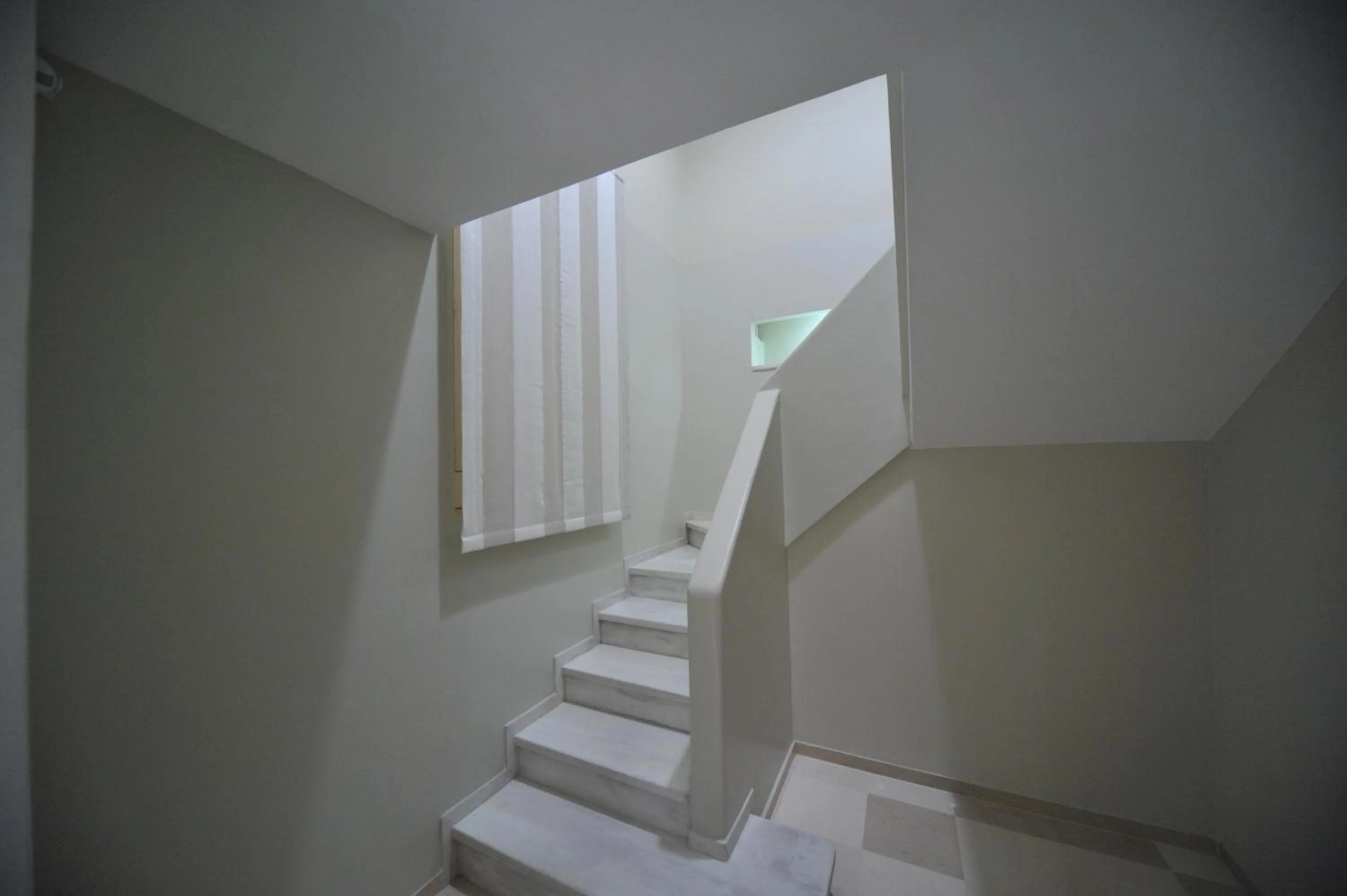 On site in Gatto Bianco House