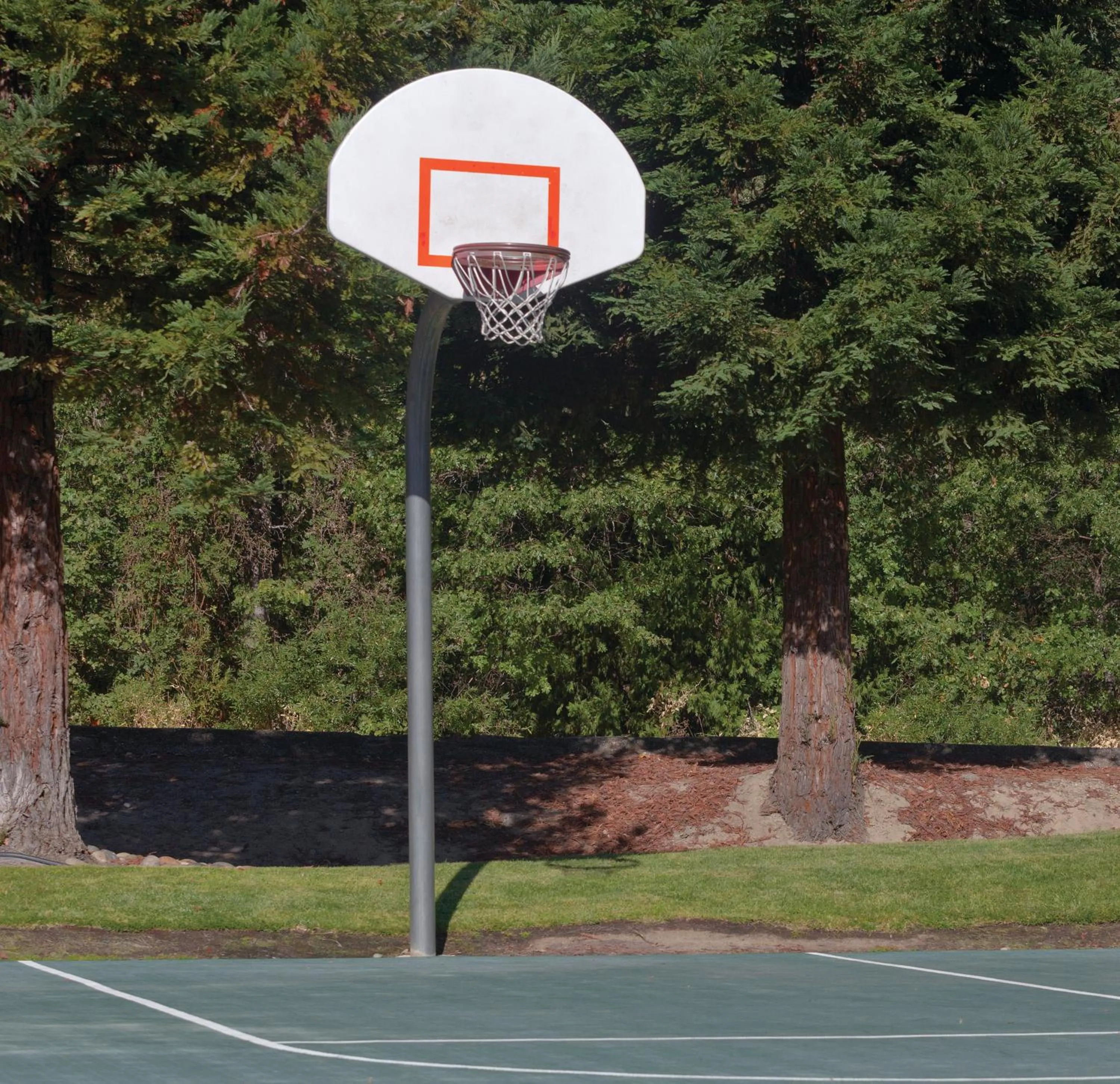 Sports in WorldMark Bass Lake