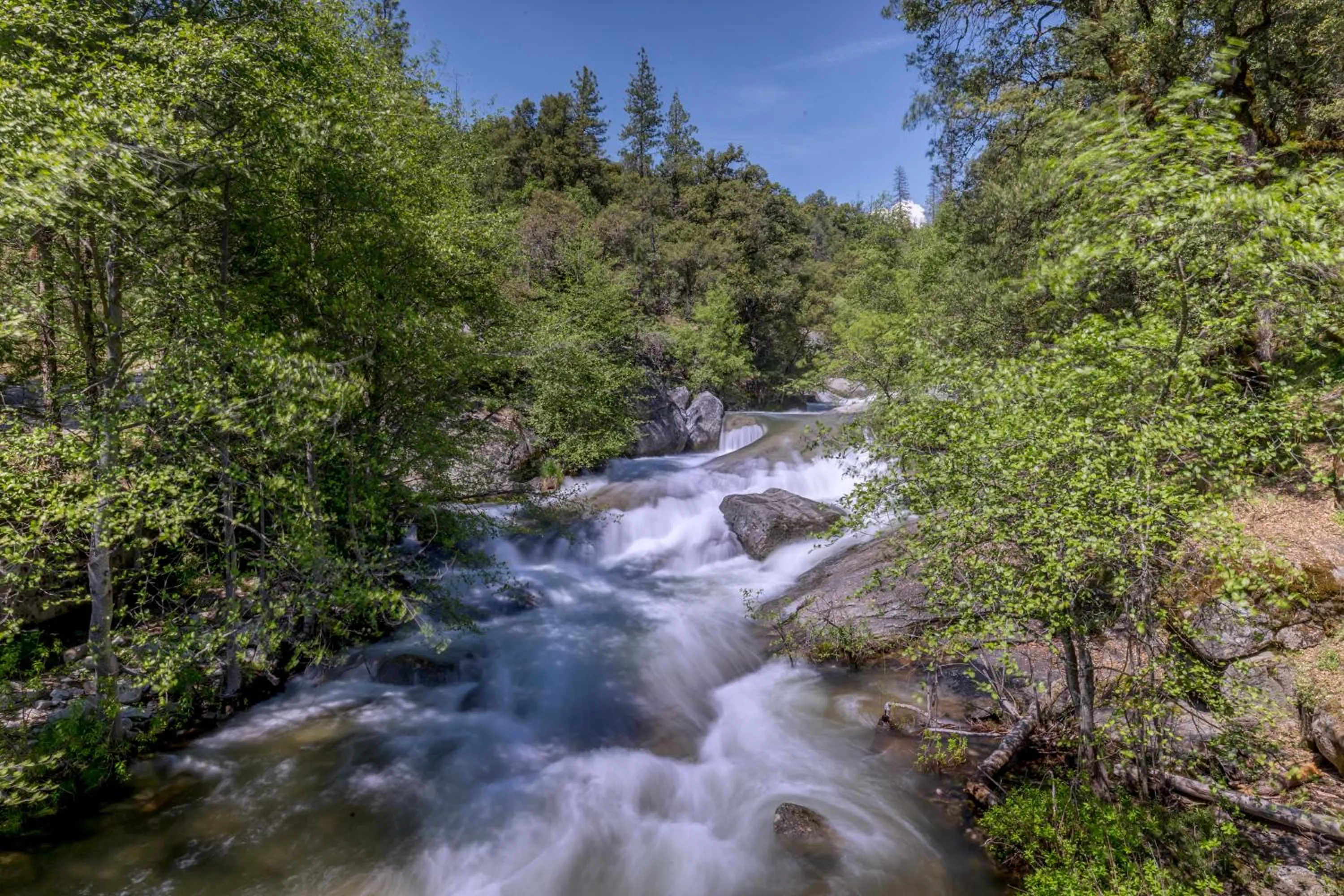 Hiking in WorldMark Bass Lake