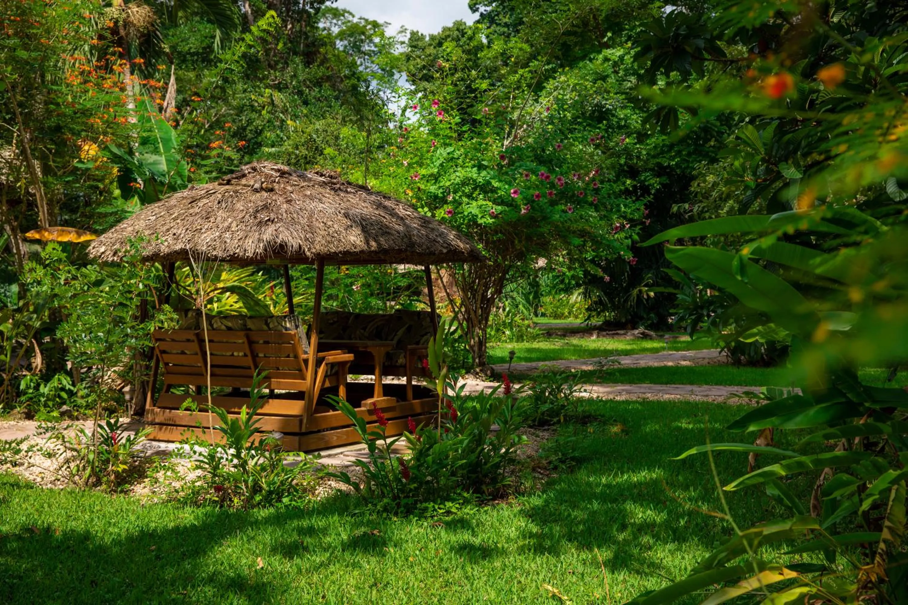 View (from property/room) in Chan Chich Lodge