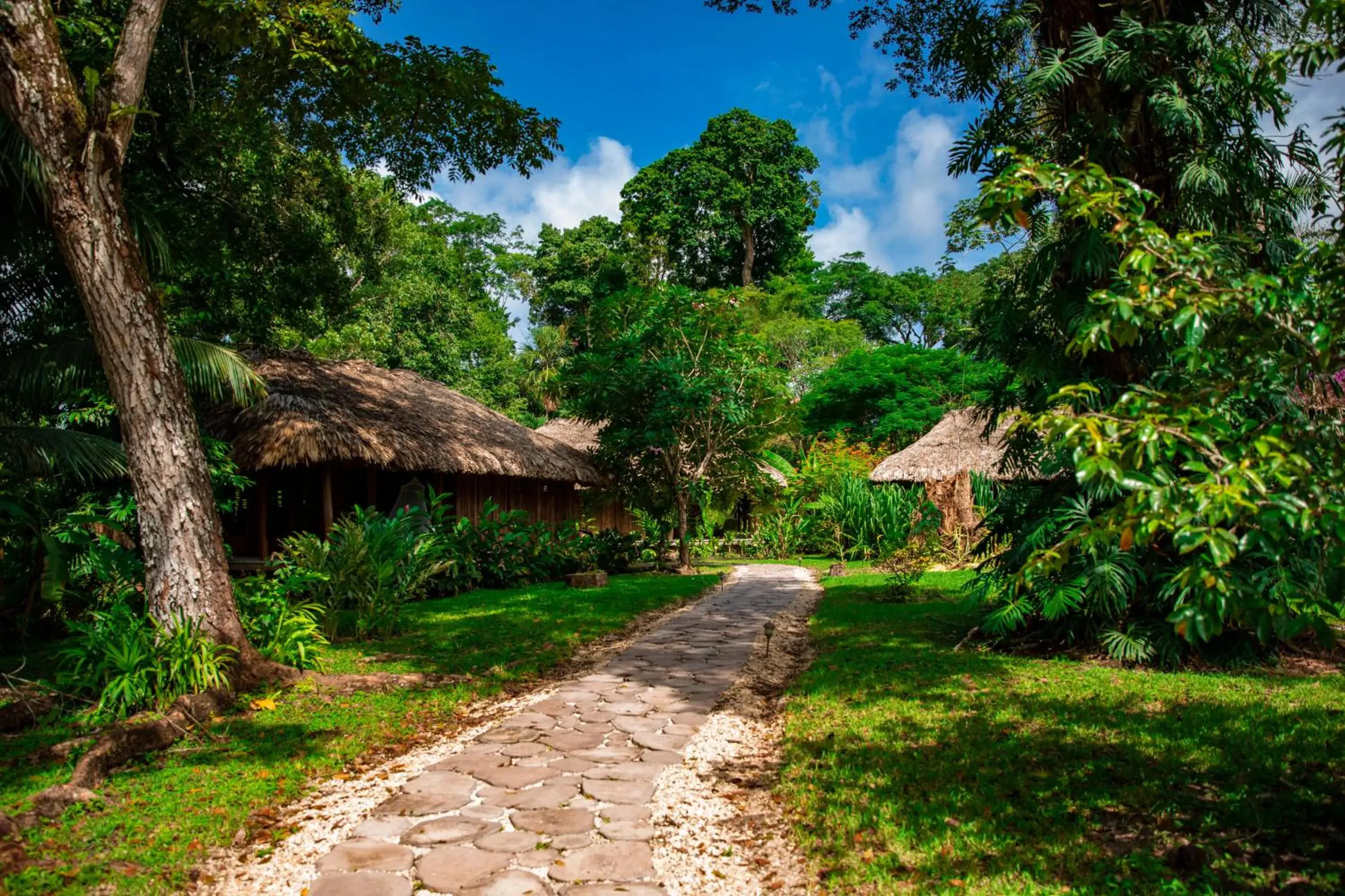 Standard Cottage in Chan Chich Lodge Standard Cottage in Chan Chich Lodge