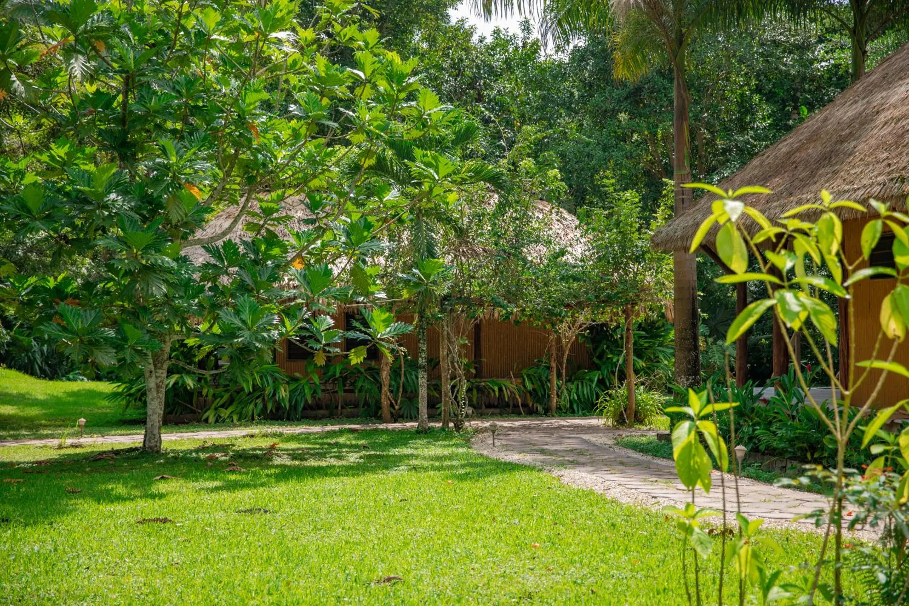 Deluxe Cottage in Chan Chich Lodge Deluxe Cottage in Chan Chich Lodge