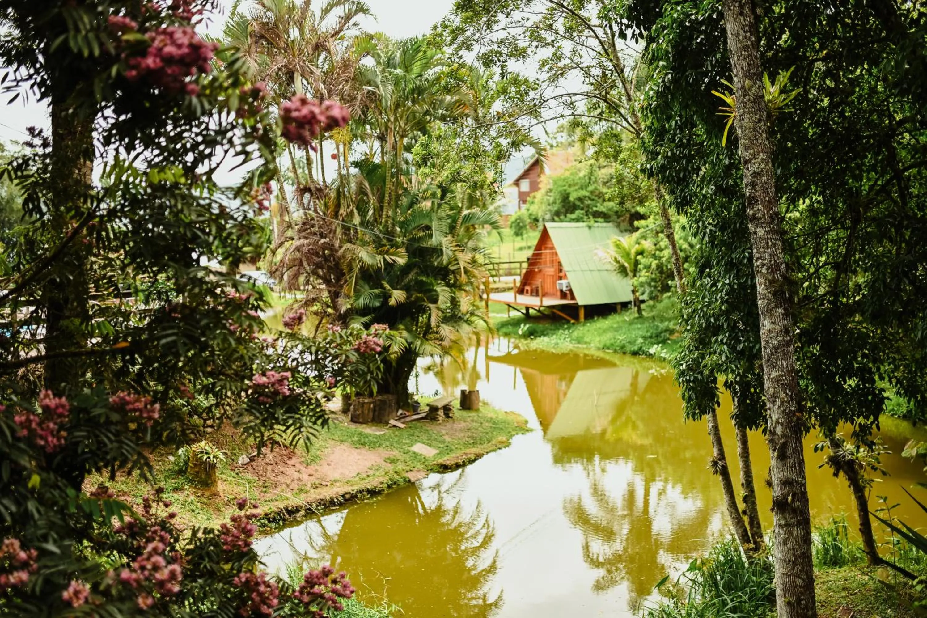 Lake view in Pousada Nosso Bosque