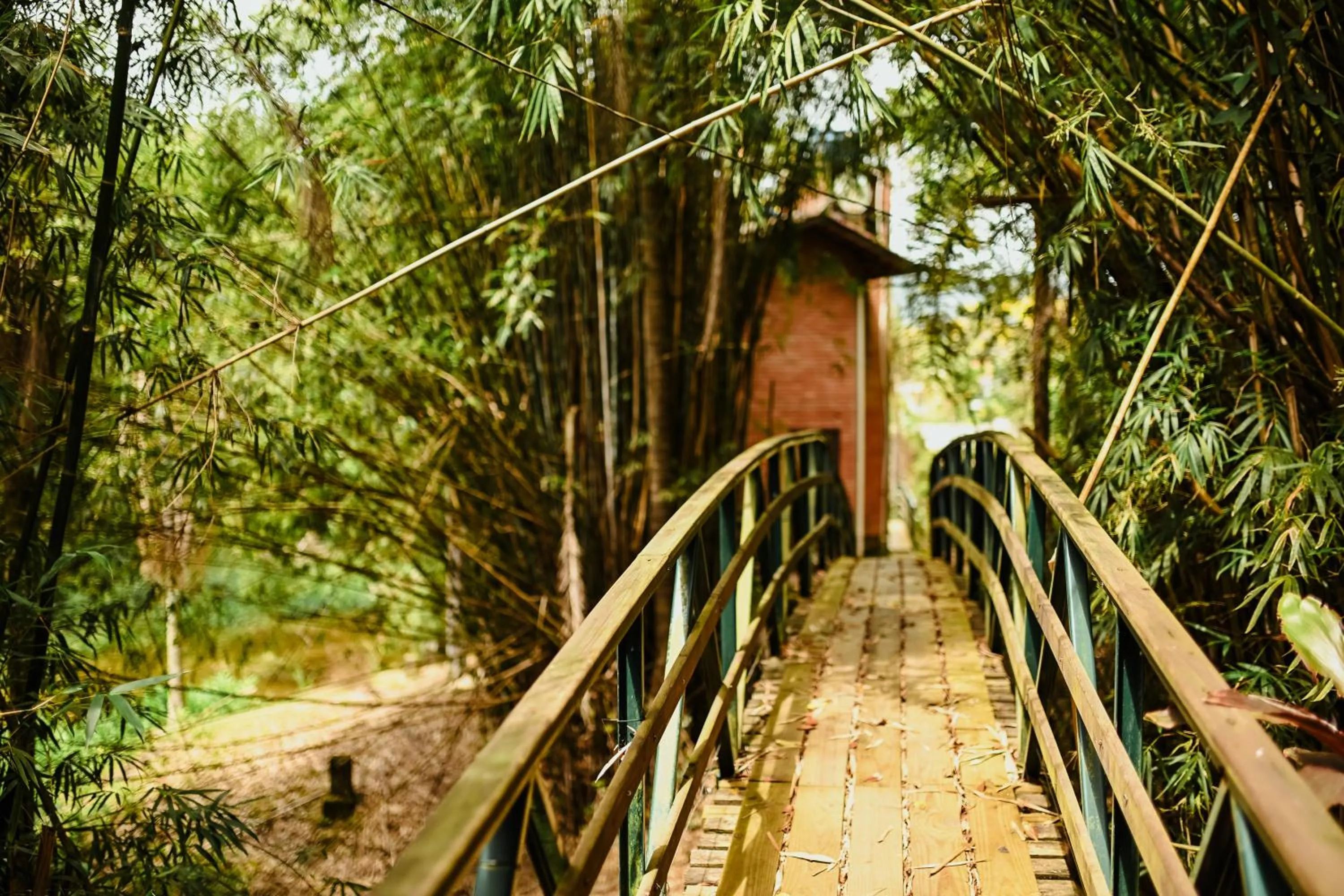 Garden in Pousada Nosso Bosque