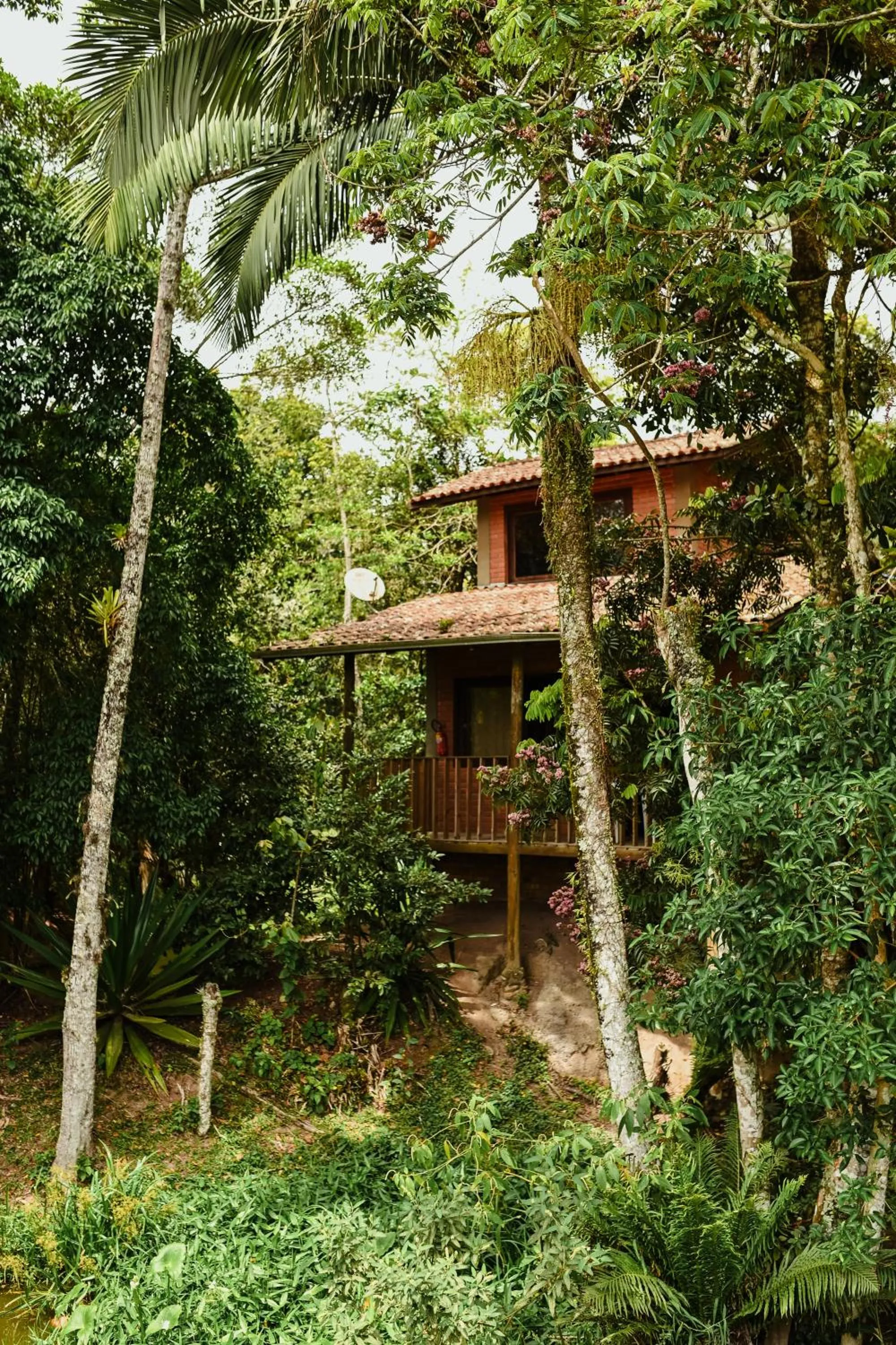 Property building in Pousada Nosso Bosque