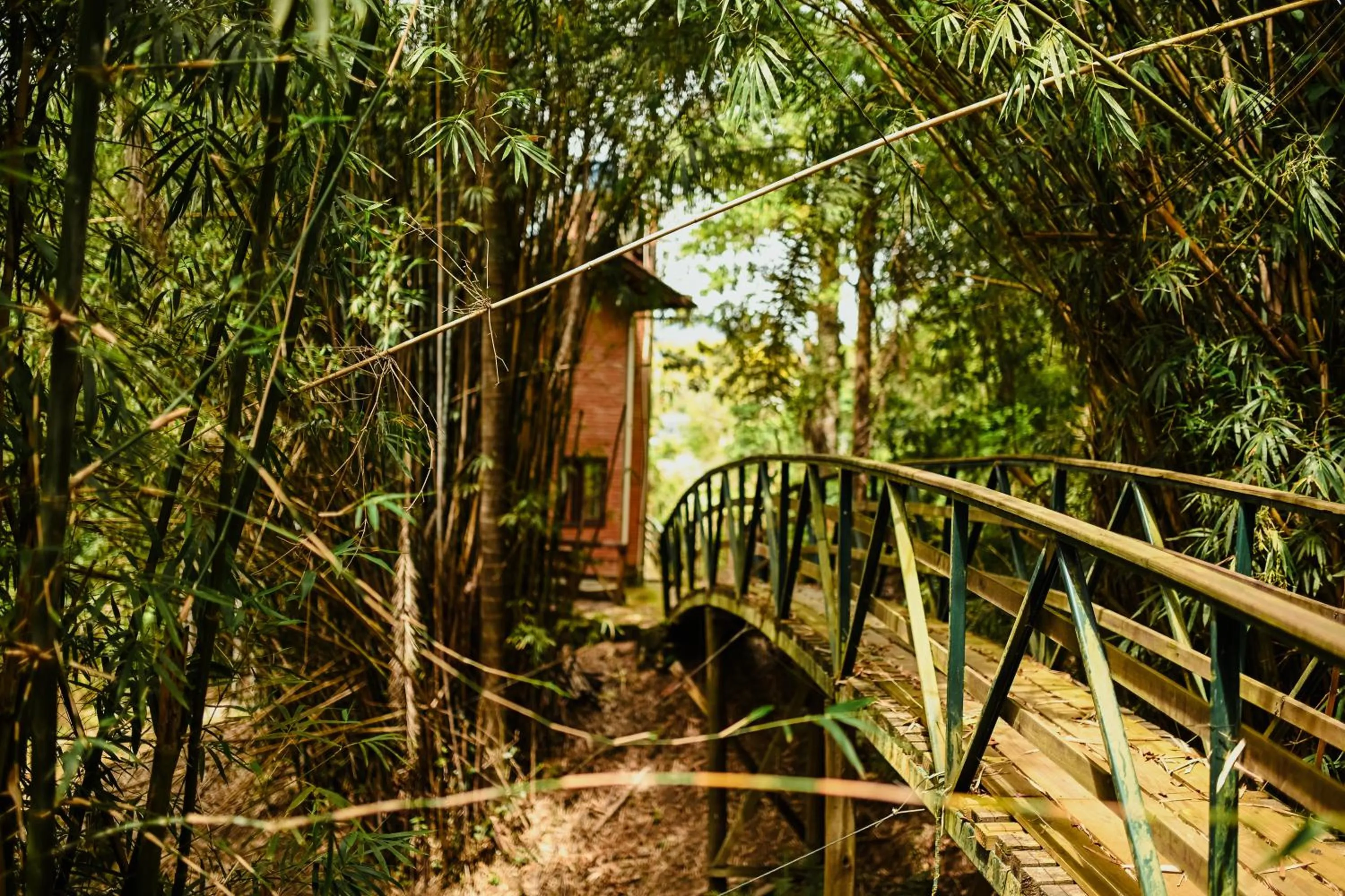 Garden in Pousada Nosso Bosque