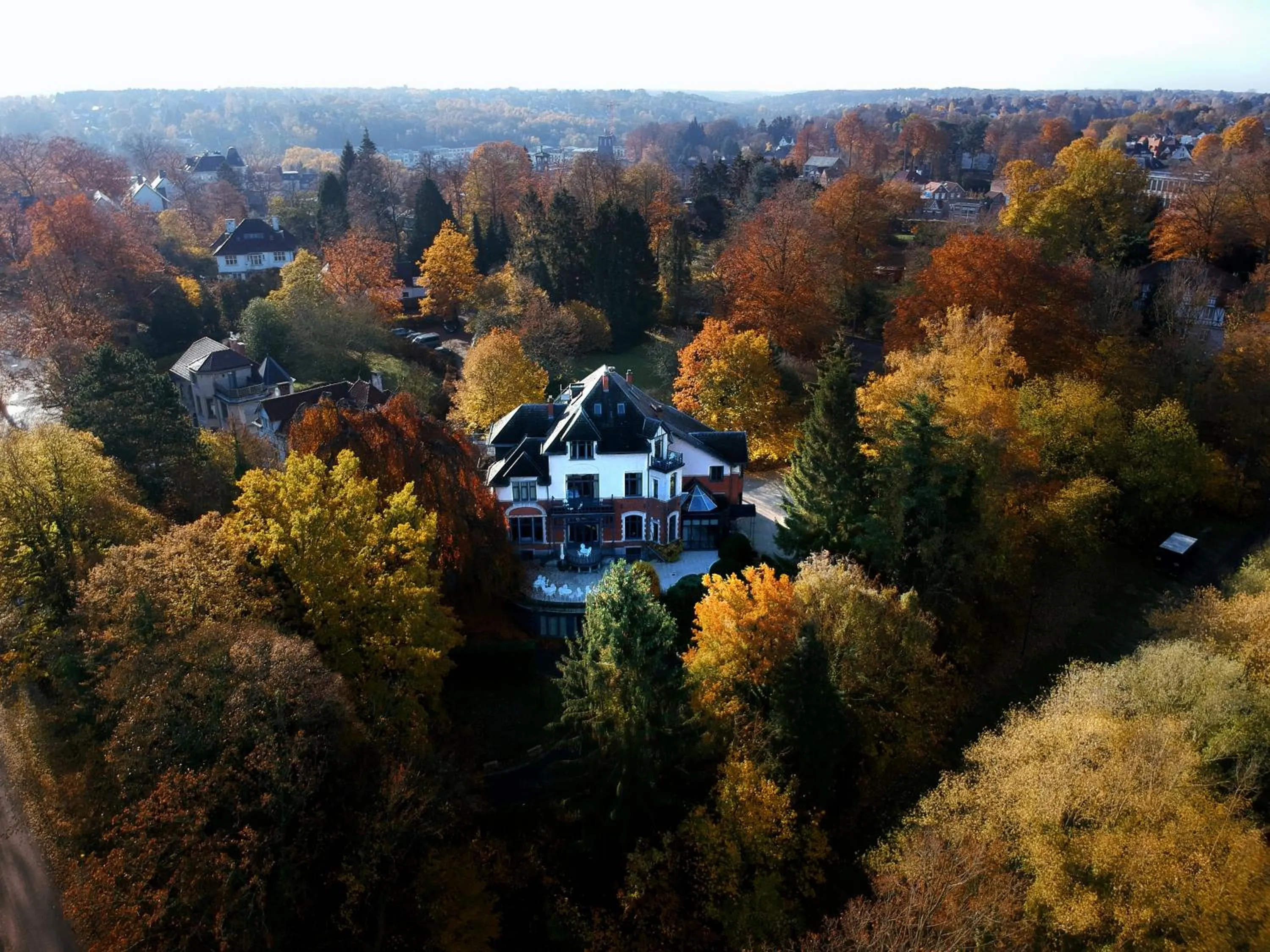 Bird's eye view in Martin's Manoir