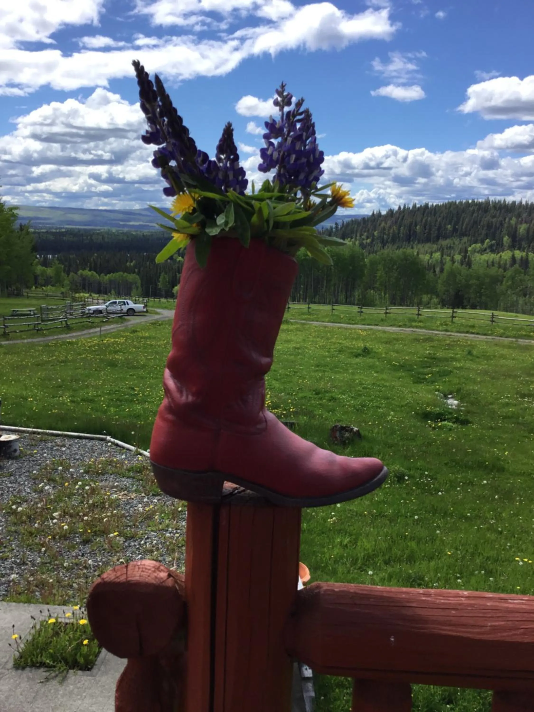 Montana Hill Guest Ranch