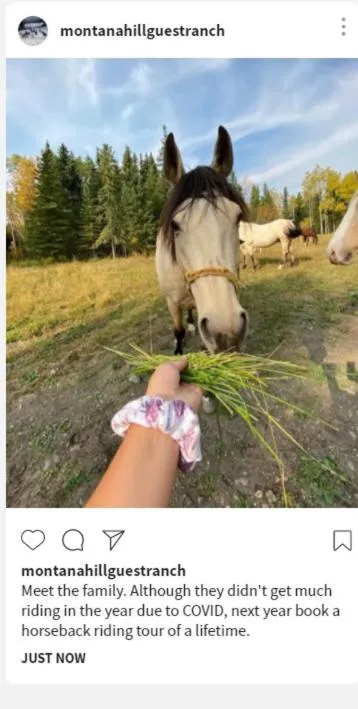 Montana Hill Guest Ranch