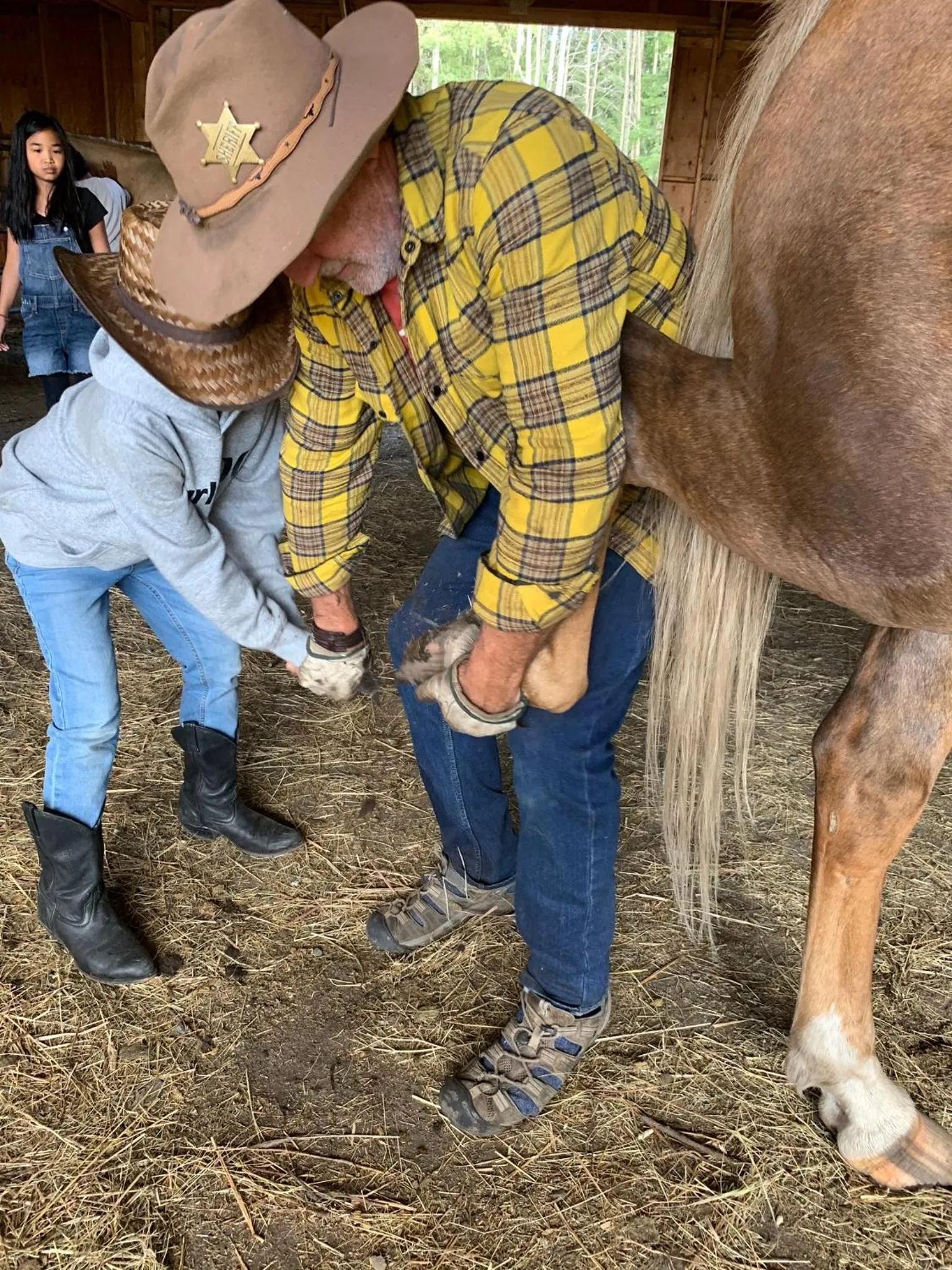 Montana Hill Guest Ranch