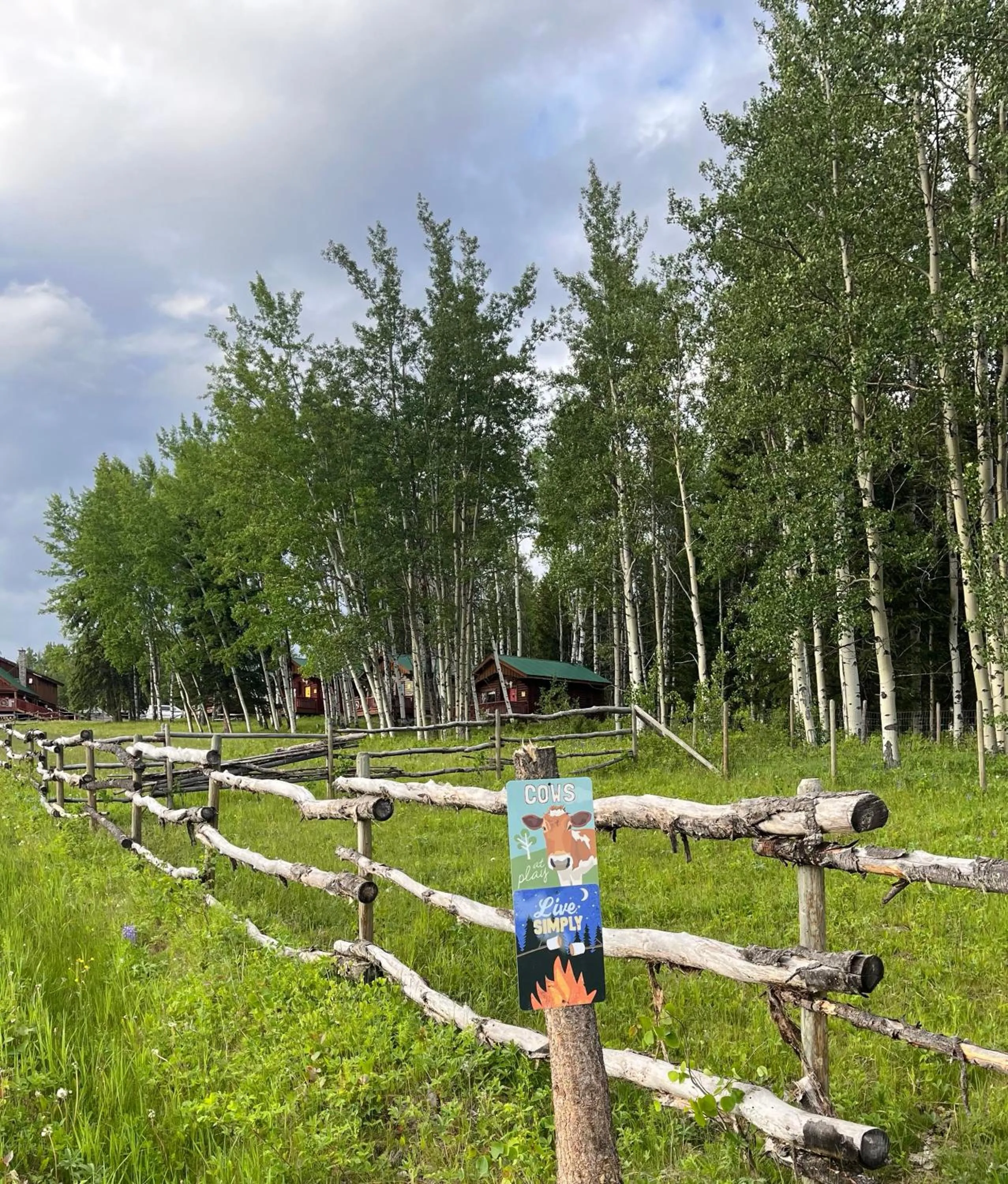 Montana Hill Guest Ranch