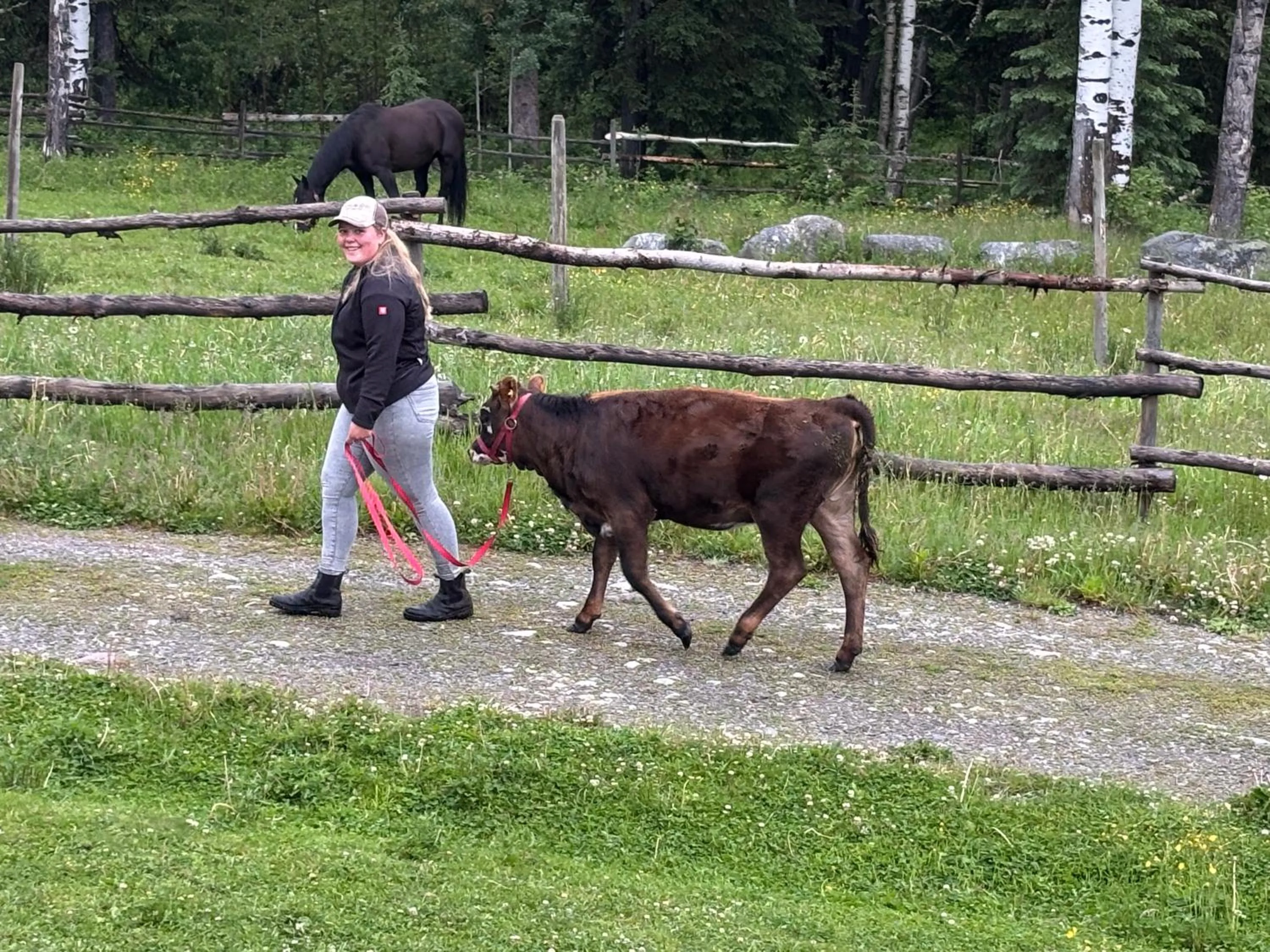 Montana Hill Guest Ranch