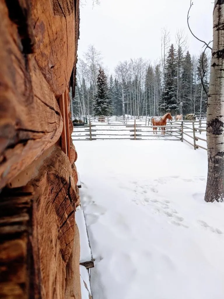 Montana Hill Guest Ranch