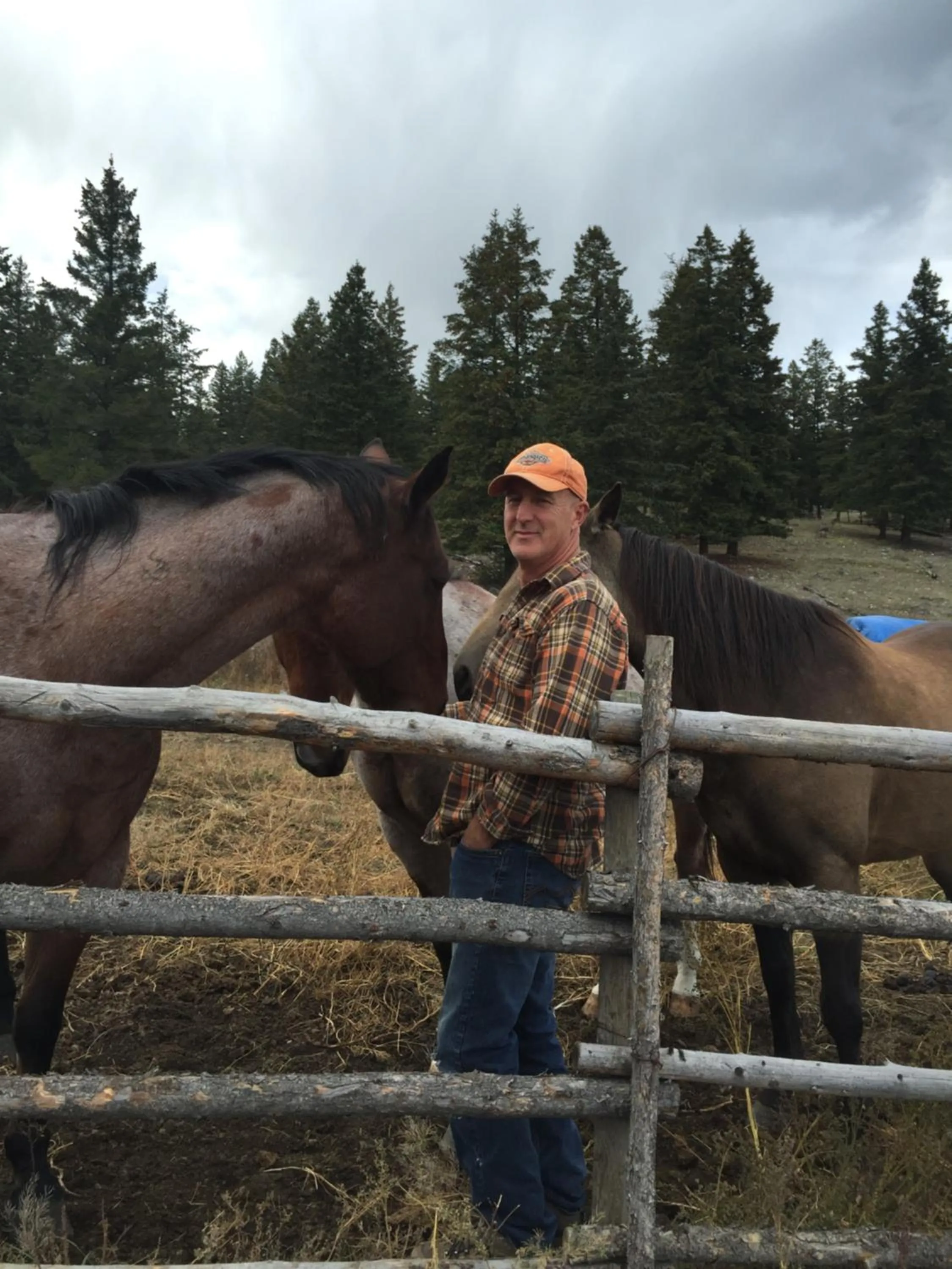 Pets in Montana Hill Guest Ranch