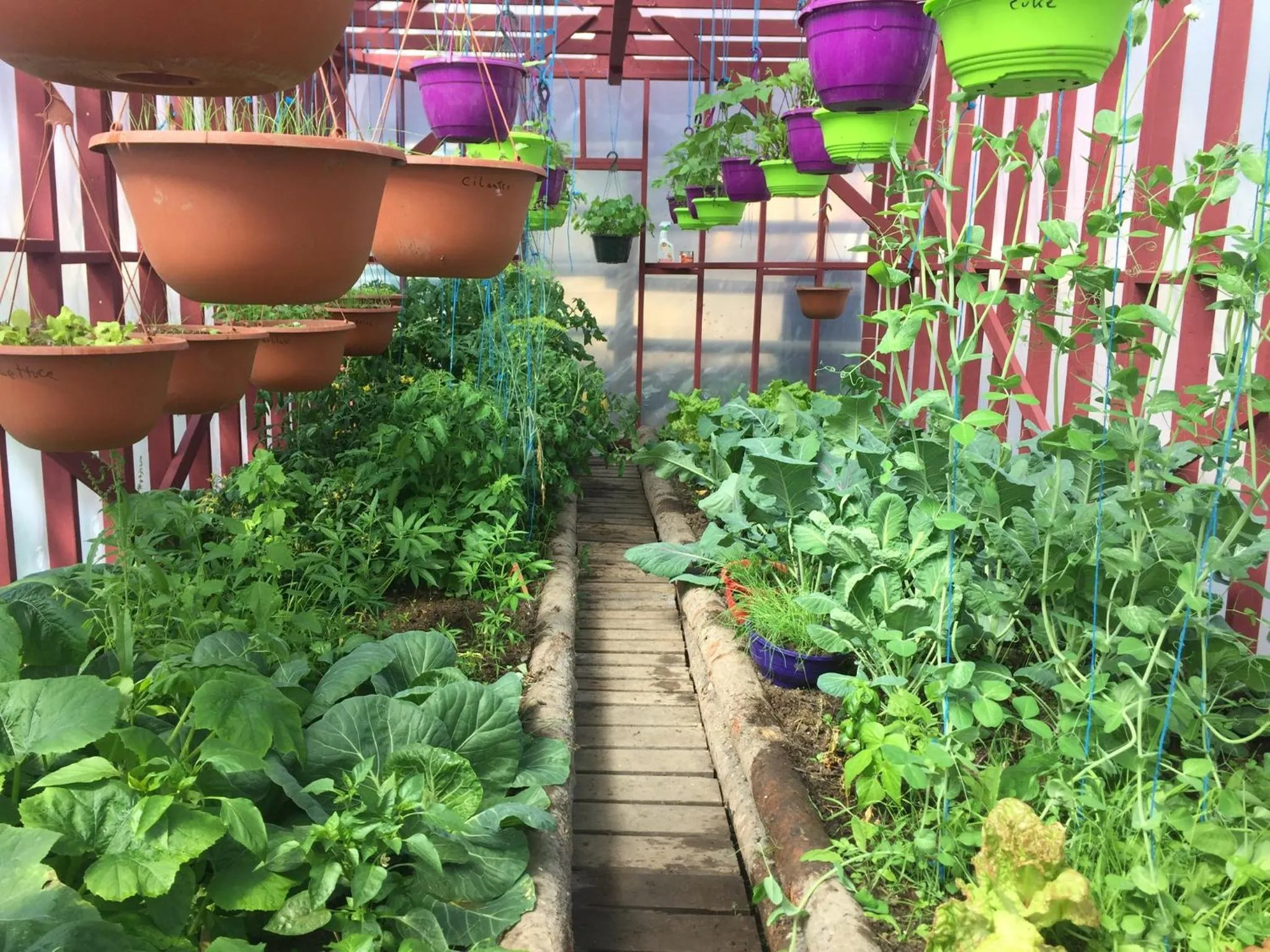 Montana Hill Guest Ranch