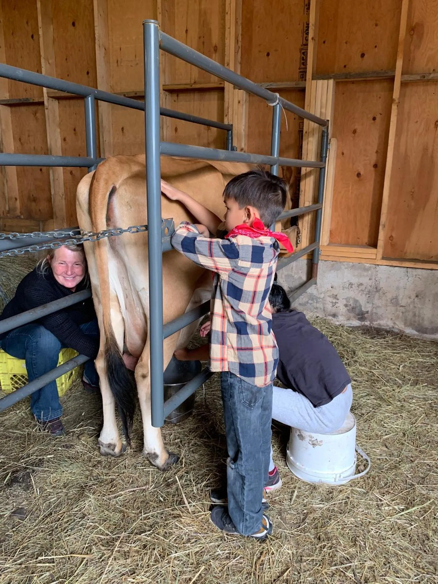 Montana Hill Guest Ranch