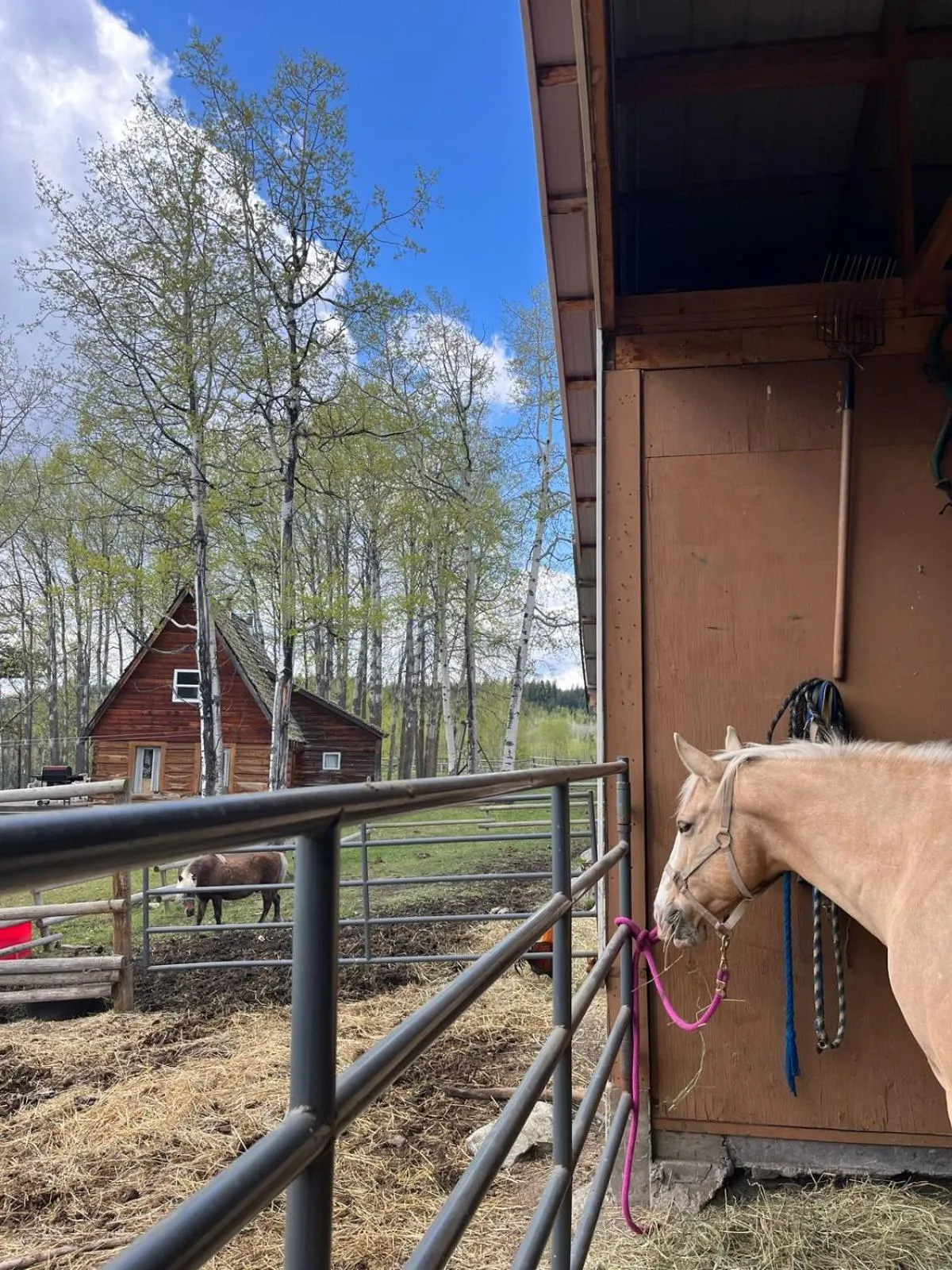 Montana Hill Guest Ranch