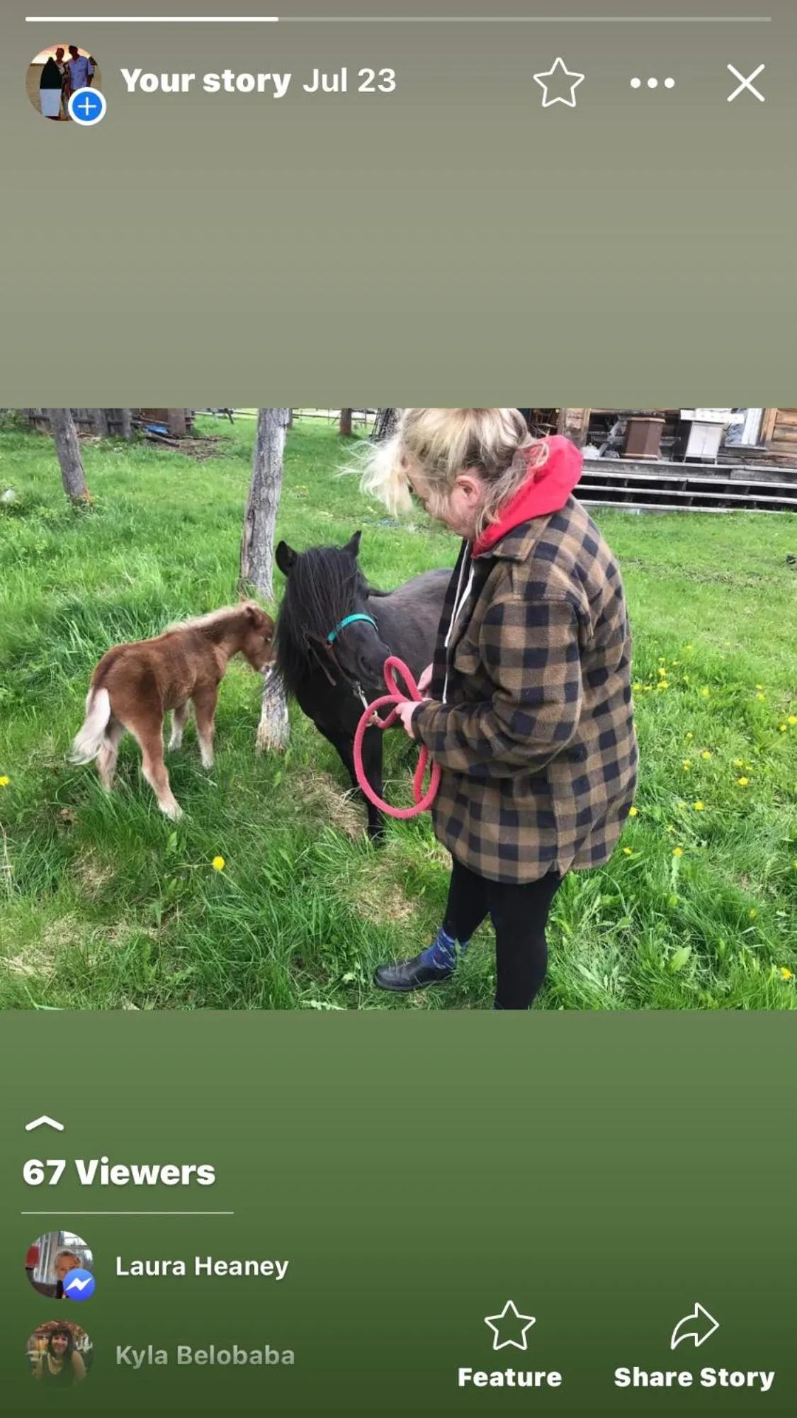 Montana Hill Guest Ranch