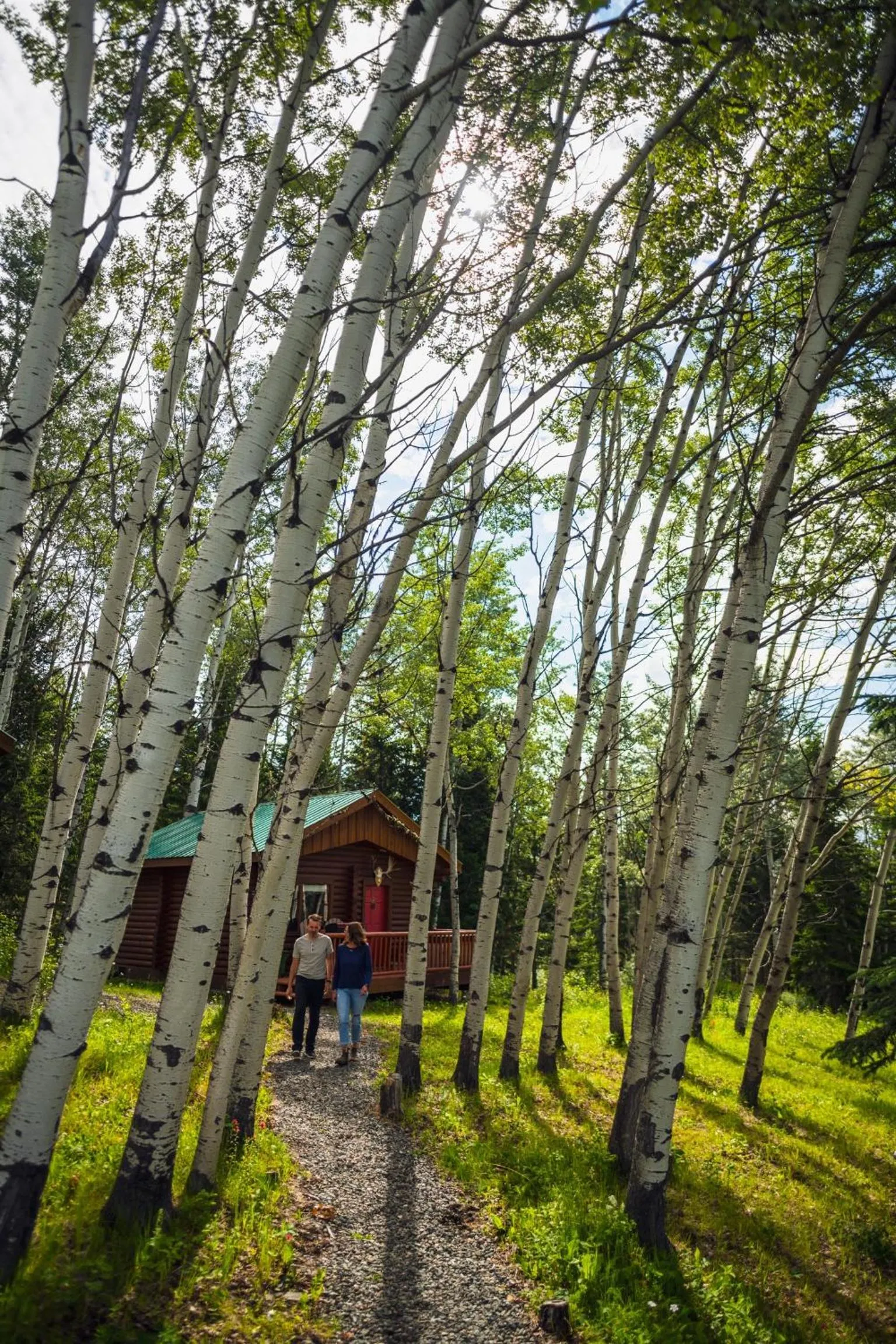 Montana Hill Guest Ranch