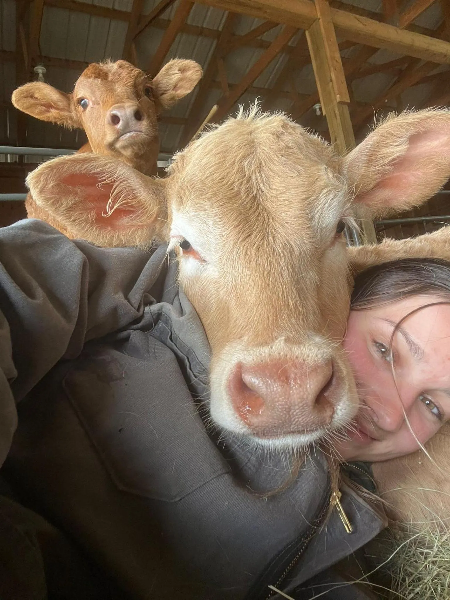 Montana Hill Guest Ranch