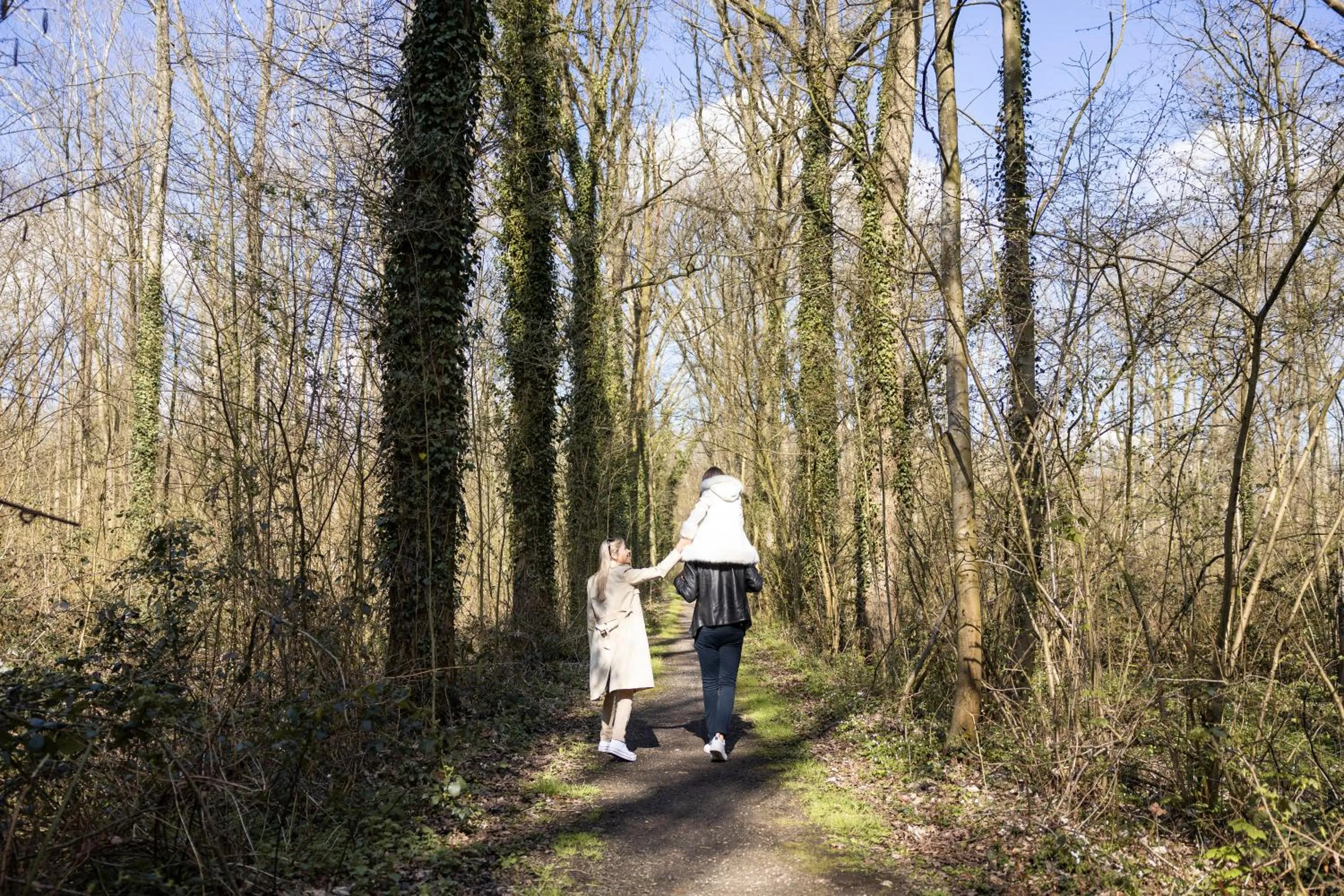 Hiking in Green Park Hotel Brugge