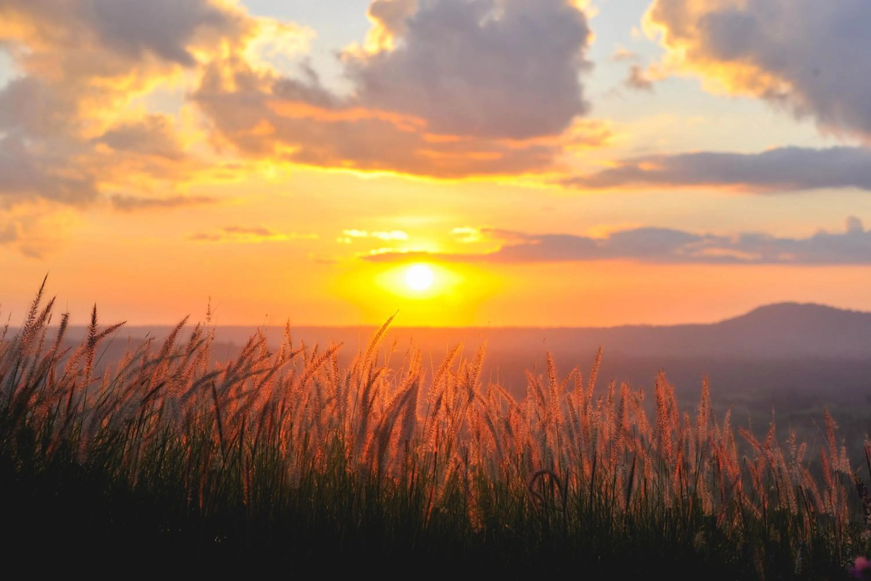 Mountain view in At Tree Resort Khaokho