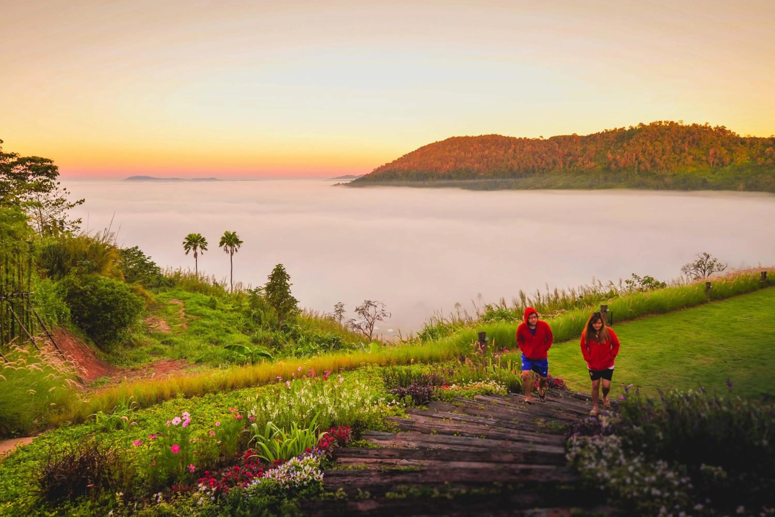 Garden view in At Tree Resort Khaokho