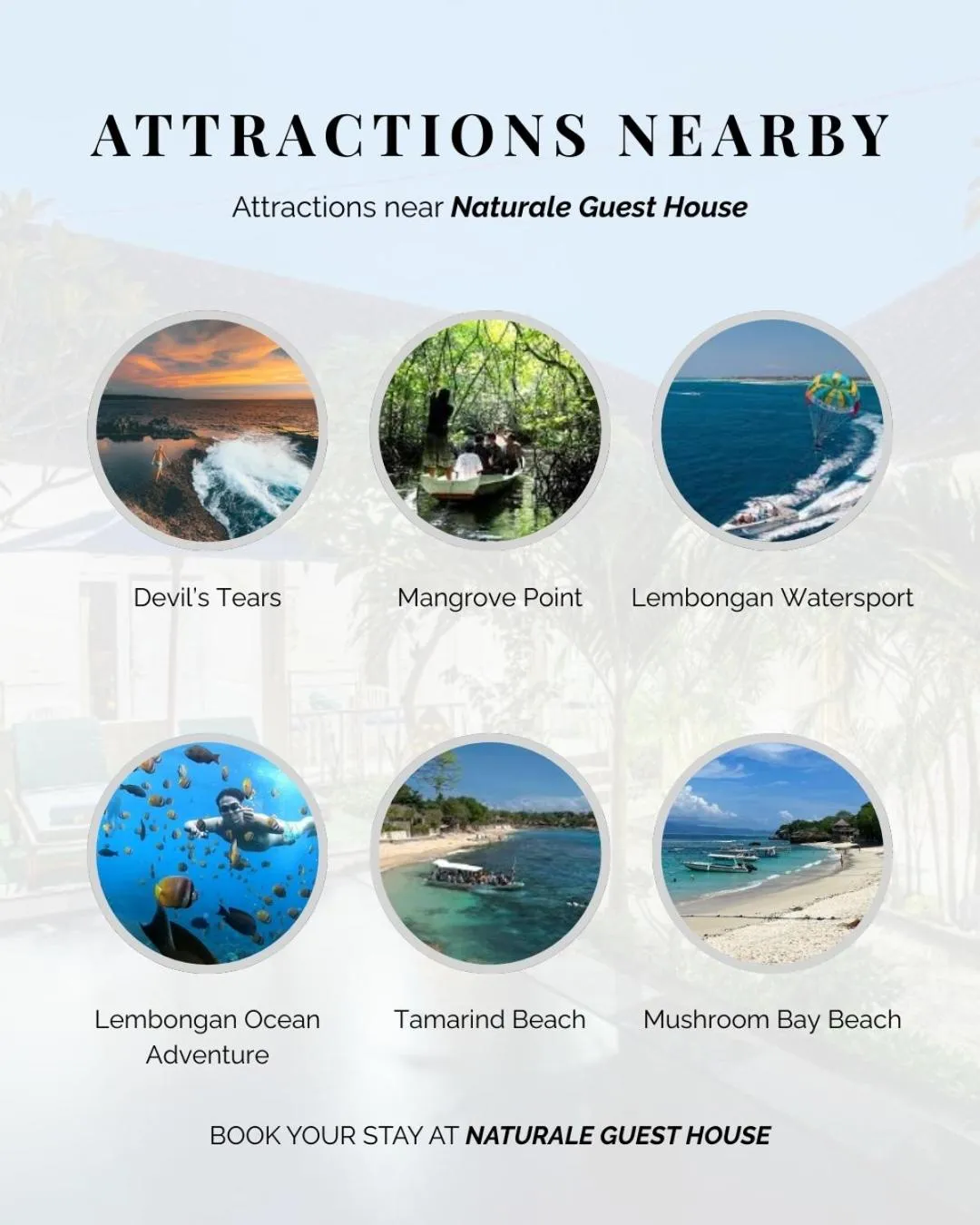 Entertainment in Naturale Guest House