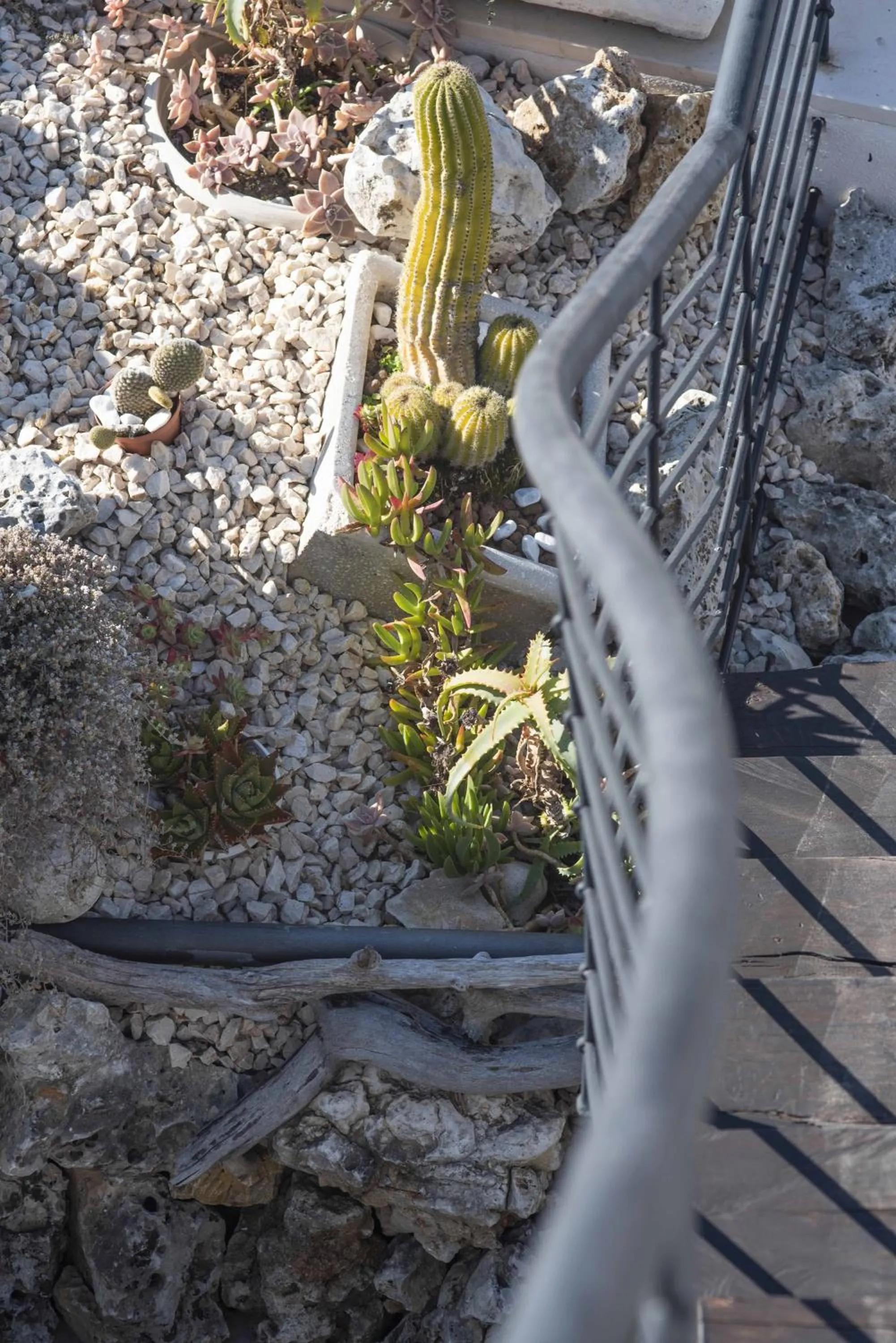 Balcony/Terrace in B&B Casanita