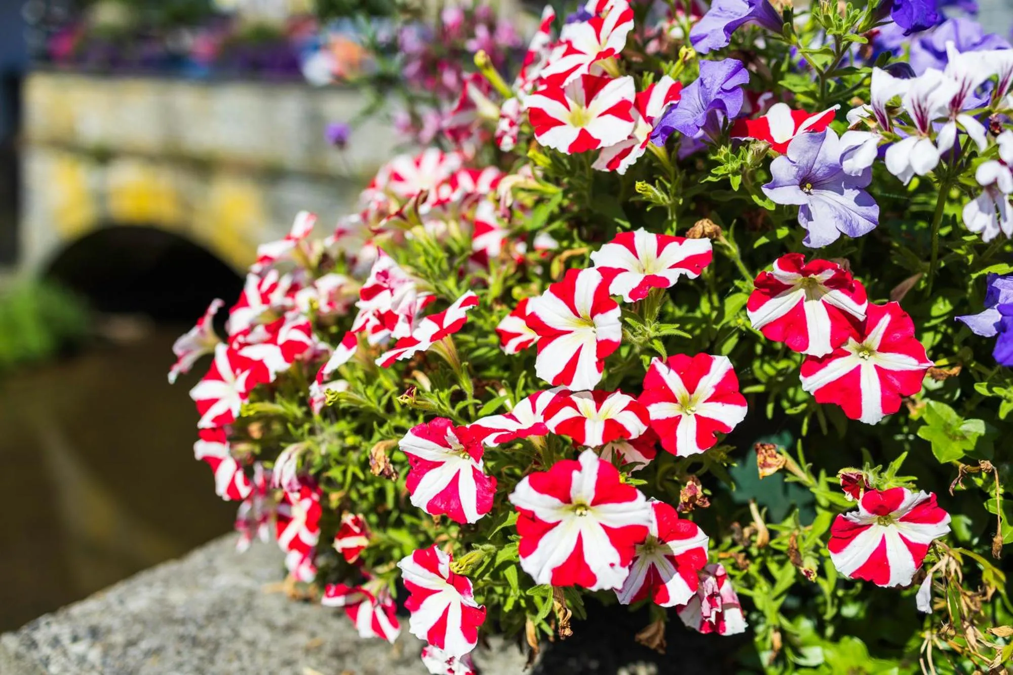 Property building in Hotel du Commerce