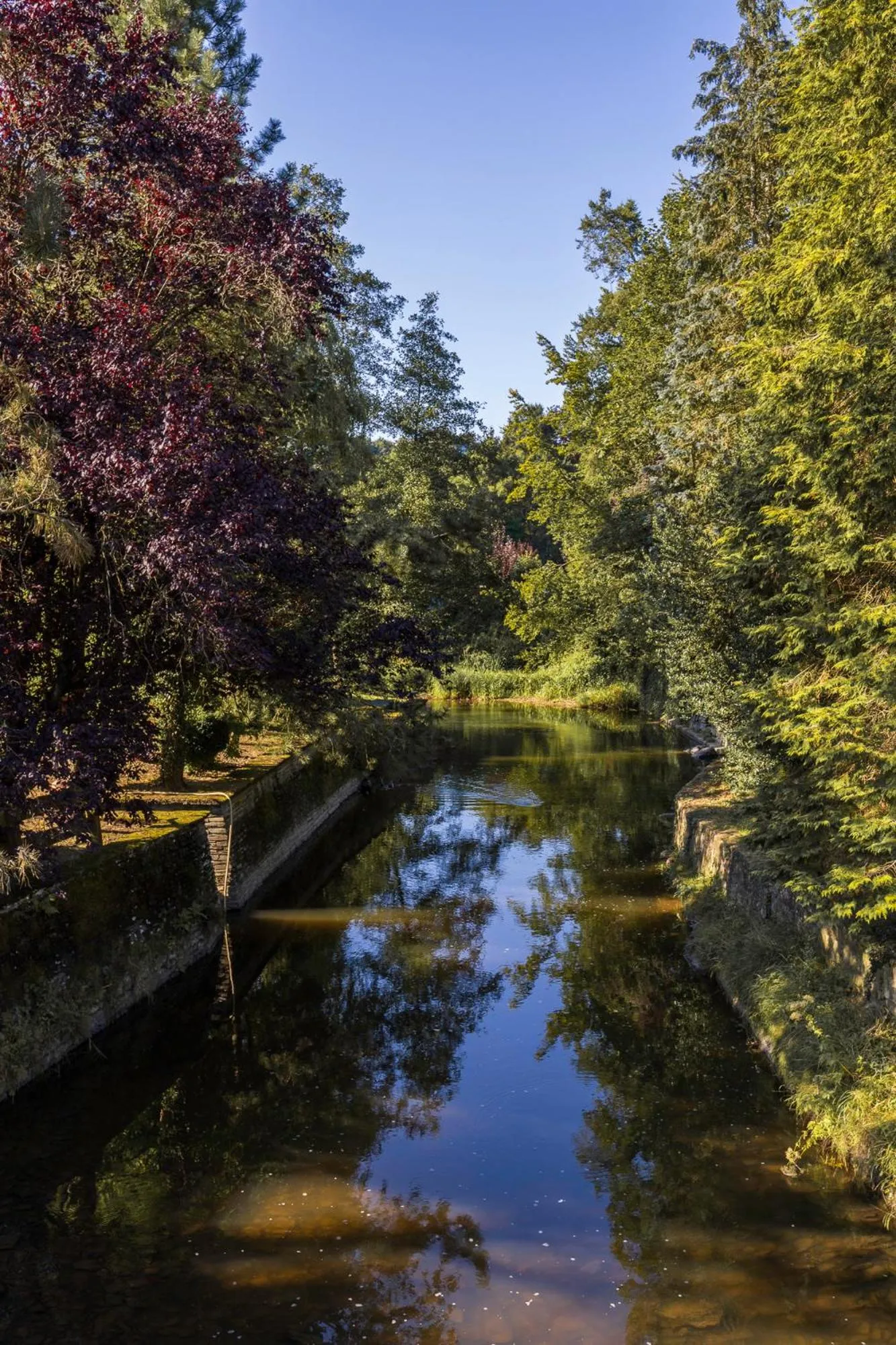 Area and facilities in Hotel du Commerce