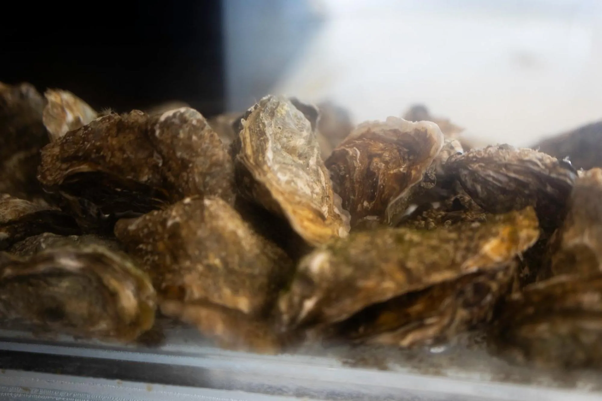 Restaurant/places to eat in Hotel du Commerce