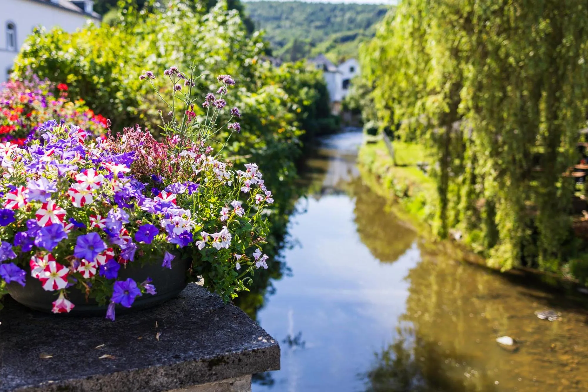 Property building in Hotel du Commerce